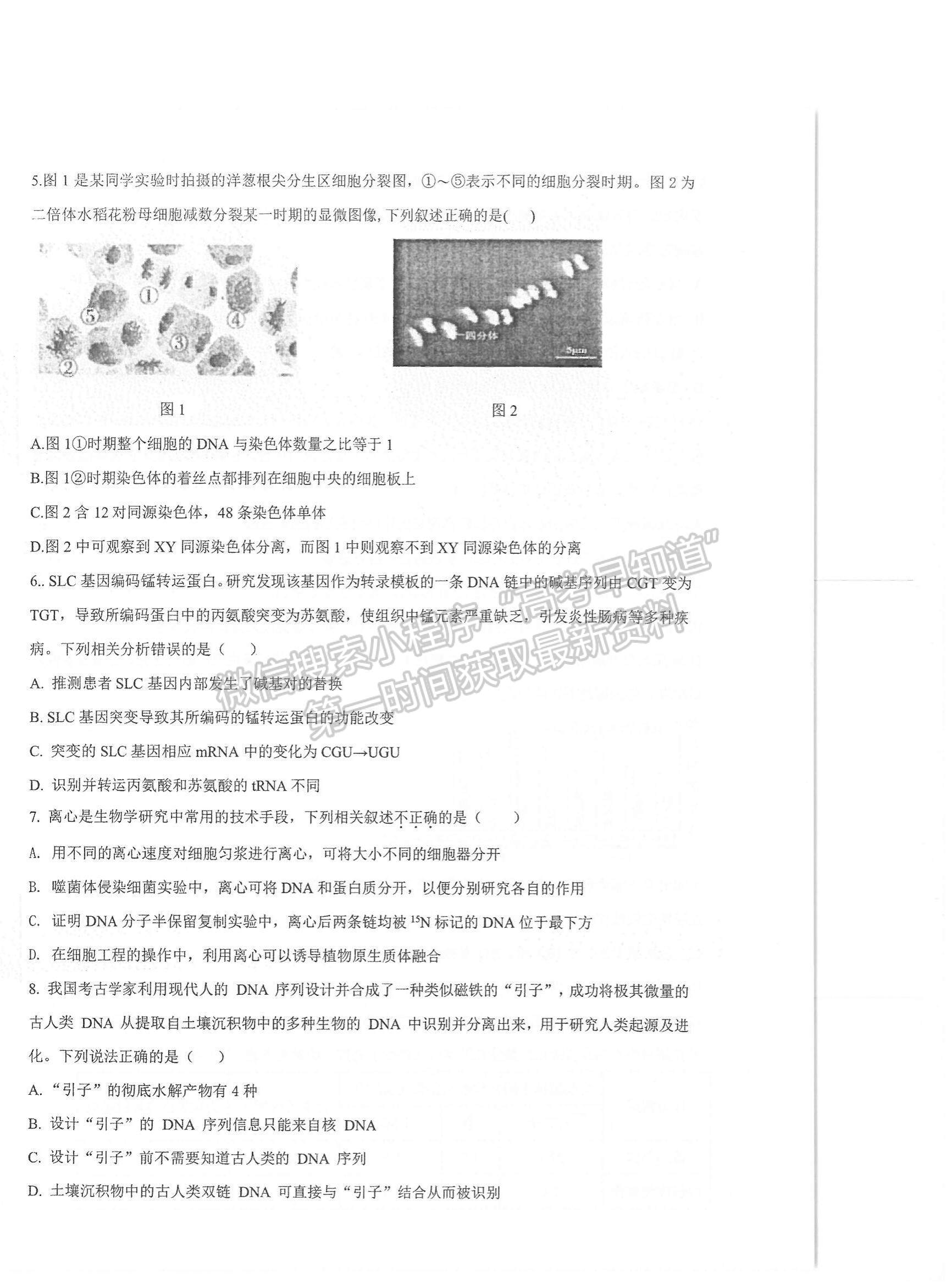 2022江蘇蘇州八校聯(lián)盟高三第二次適應性檢測生物試題及參考答案