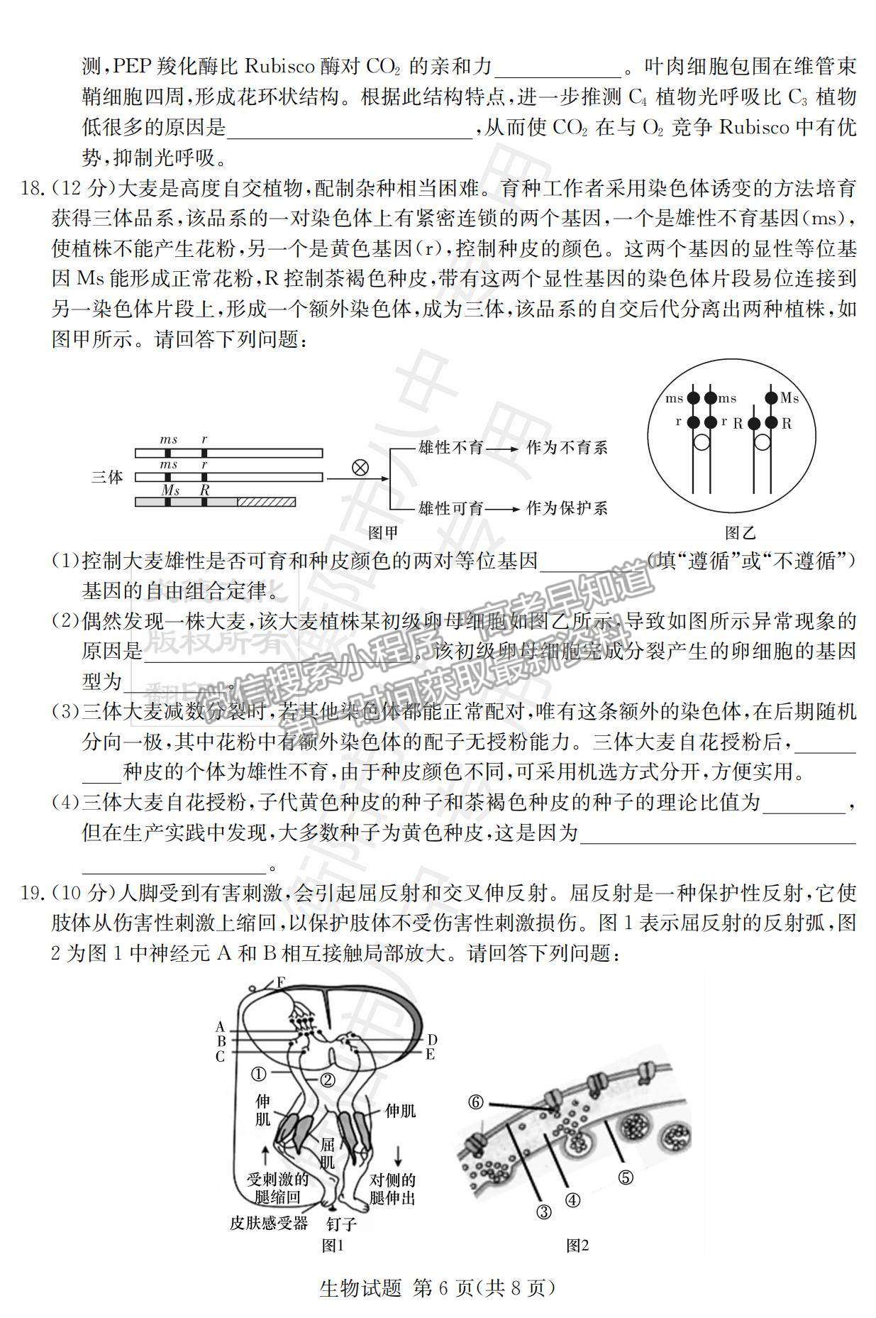 2022湖南衡陽八中高三12月聯(lián)考生物試題及參考答案