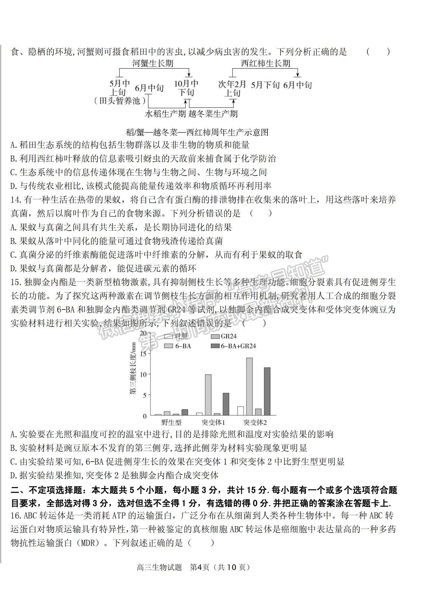 2022山東衡水金卷德州市高三12月聯(lián)考生物試題及參考答案