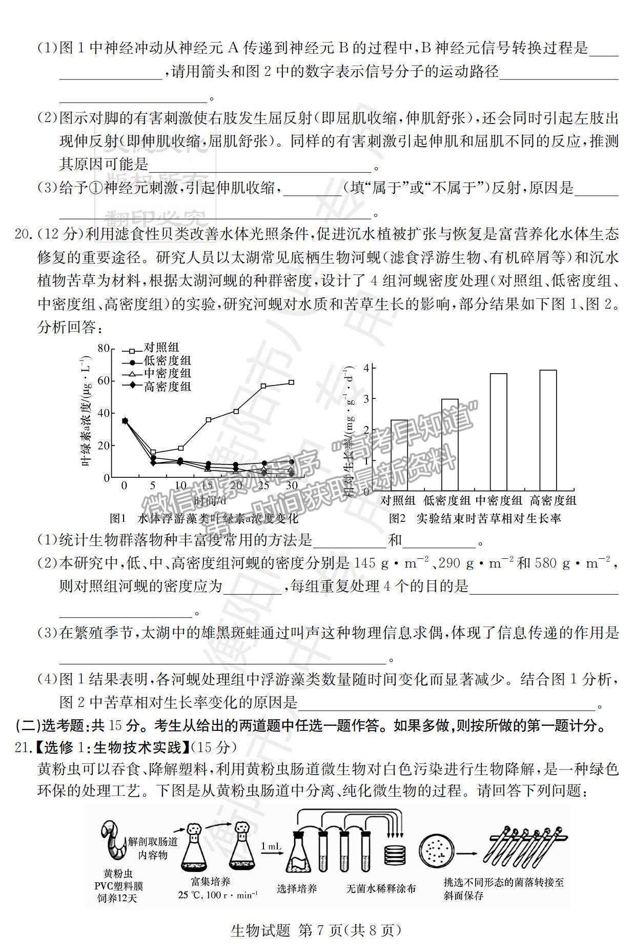 2022湖南衡陽八中高三12月聯(lián)考生物試題及參考答案