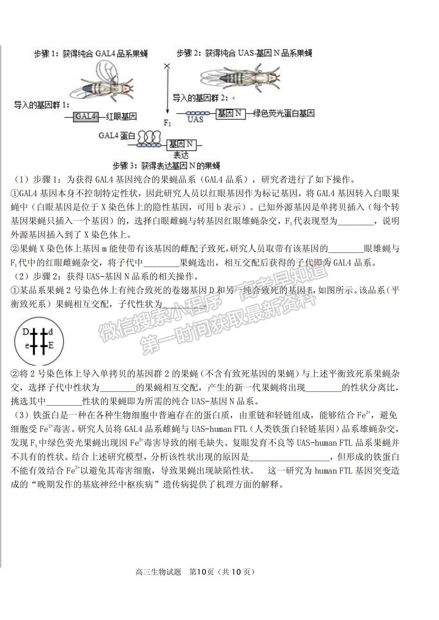 2022山東衡水金卷德州市高三12月聯(lián)考生物試題及參考答案