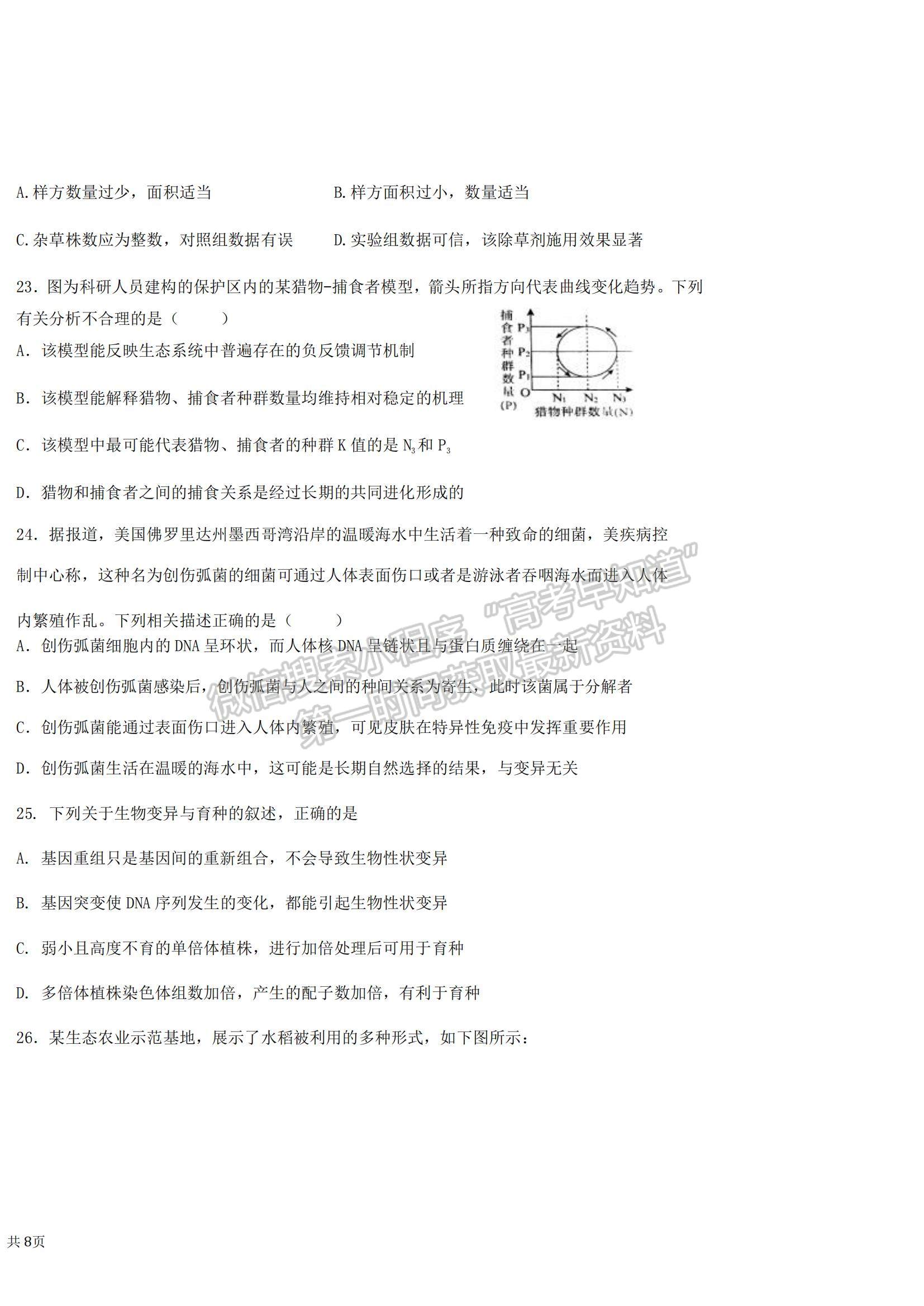 2022河南省鶴壁市高三一輪復(fù)習(xí)質(zhì)量檢測(cè)（二）生物試題及參考答案