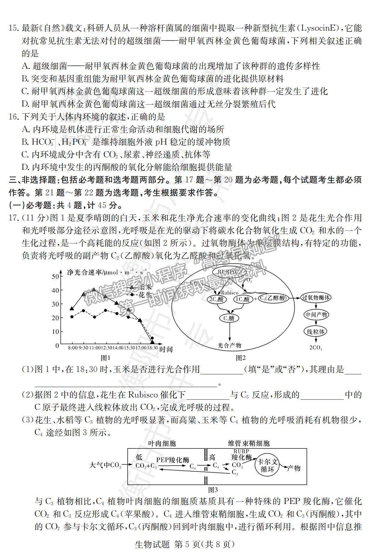 2022湖南衡陽八中高三12月聯(lián)考生物試題及參考答案