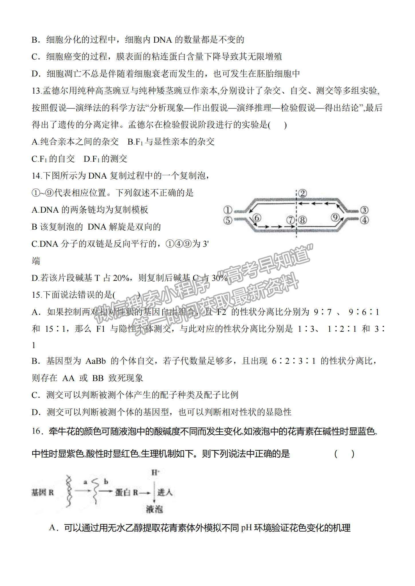 2022河南重點高中高三階段性調(diào)研聯(lián)考（二）生物試題及參考答案