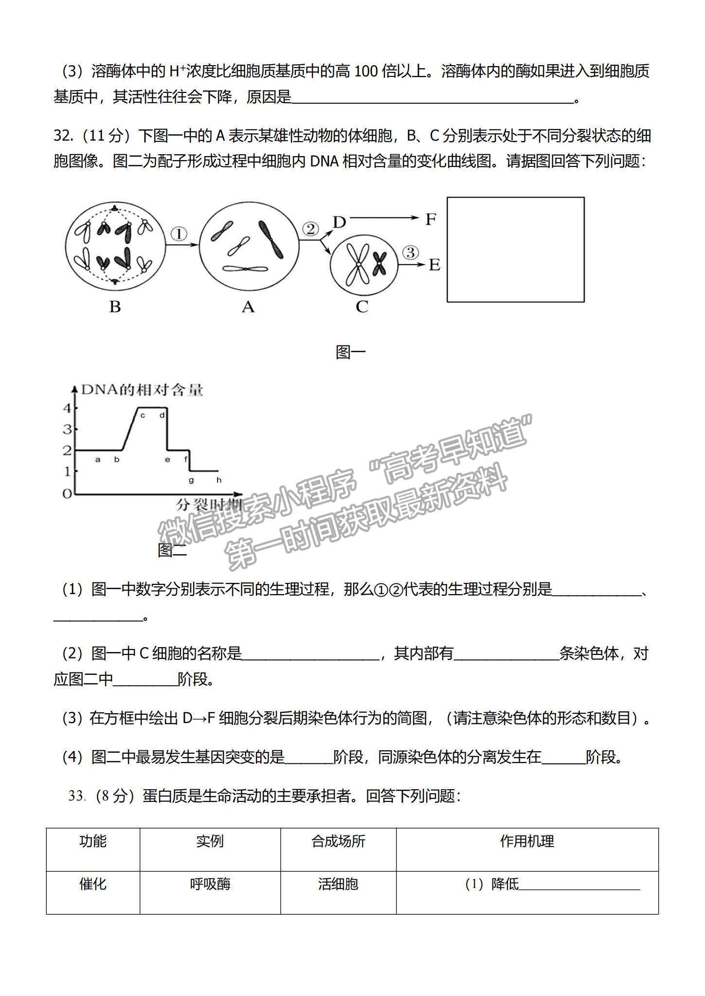 2022河南重點(diǎn)高中高三階段性調(diào)研聯(lián)考（二）生物試題及參考答案