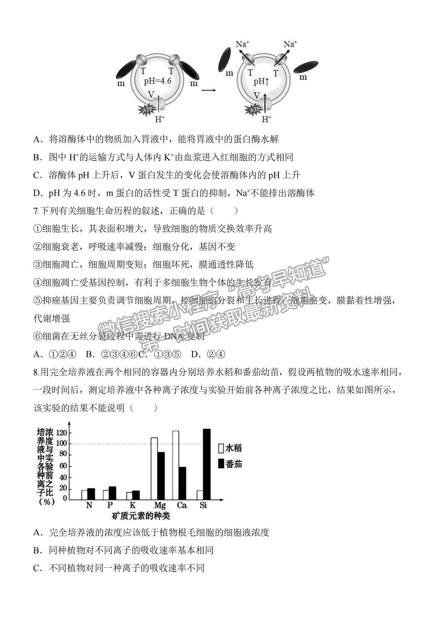 2022河南重點(diǎn)高中高三階段性調(diào)研聯(lián)考（二）生物試題及參考答案