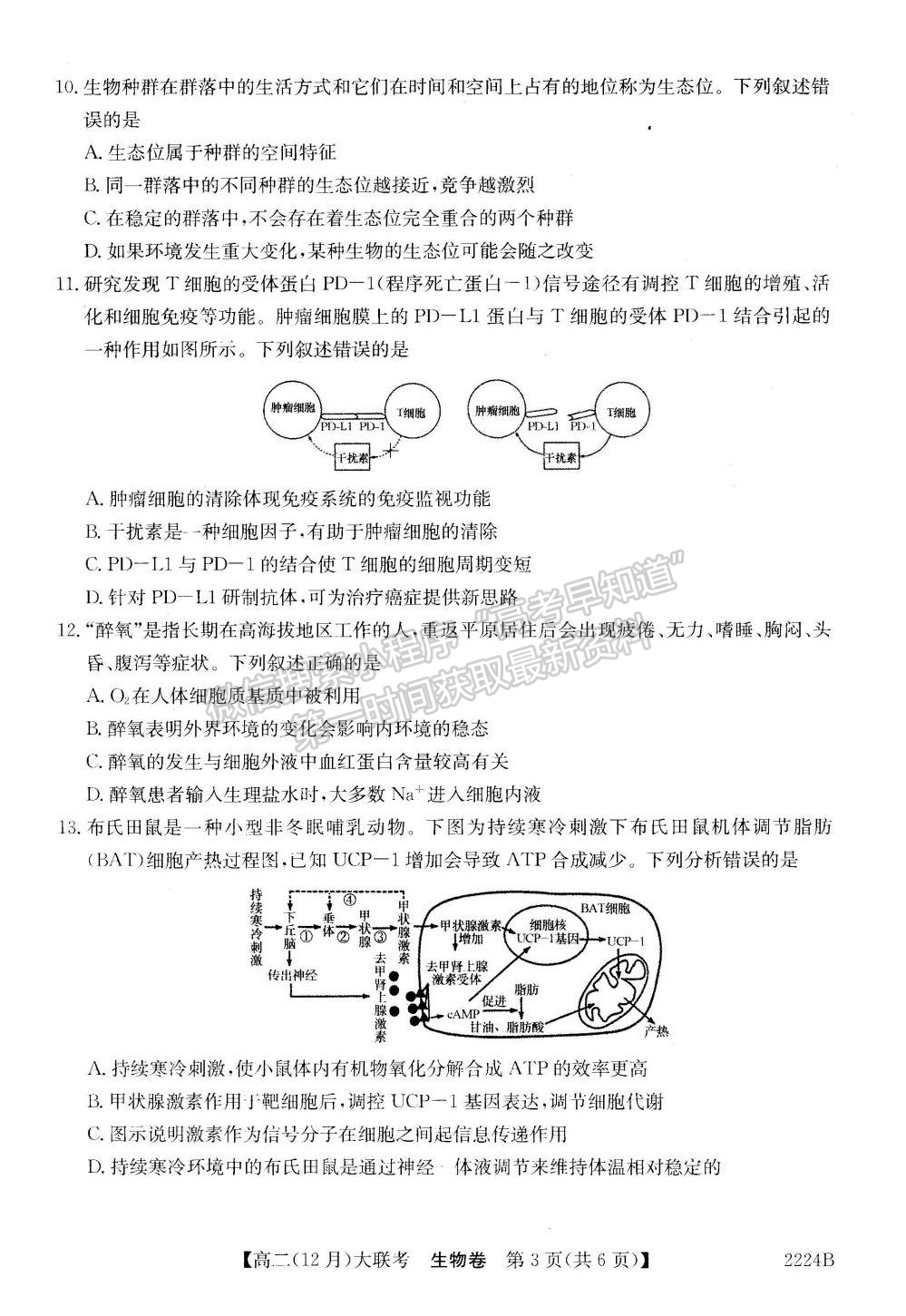 2021-2022學年湘贛粵名校高二12月大聯(lián)考（2224B）生物試題及答案