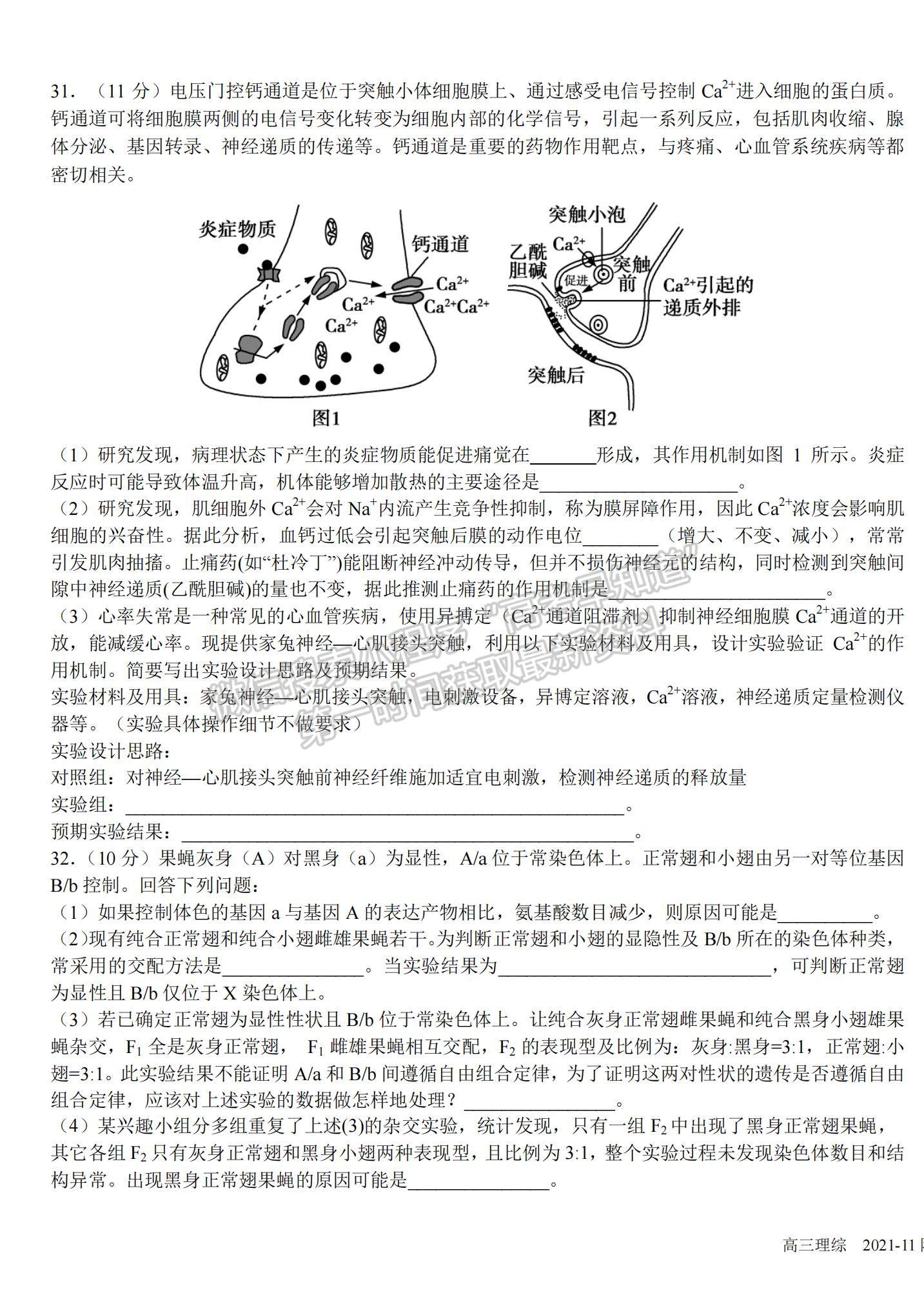 2022四川成都樹德中學(xué)高三11月階段性測試理綜試題及參考答案