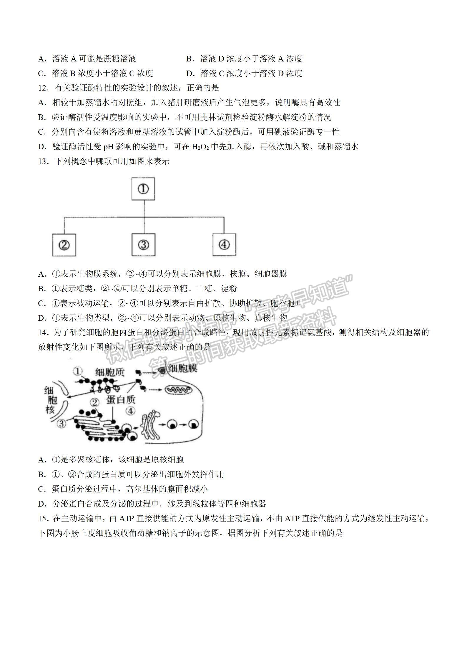 2021-2022學年湘贛粵名校高一12月大聯(lián)考（2224A）生物試題及答案