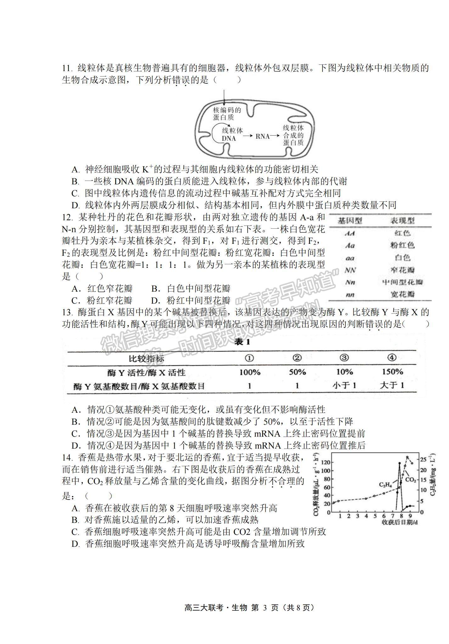 2022廣東省普通高中高三聯(lián)合質(zhì)量測評(píng)生物試題及參考答案