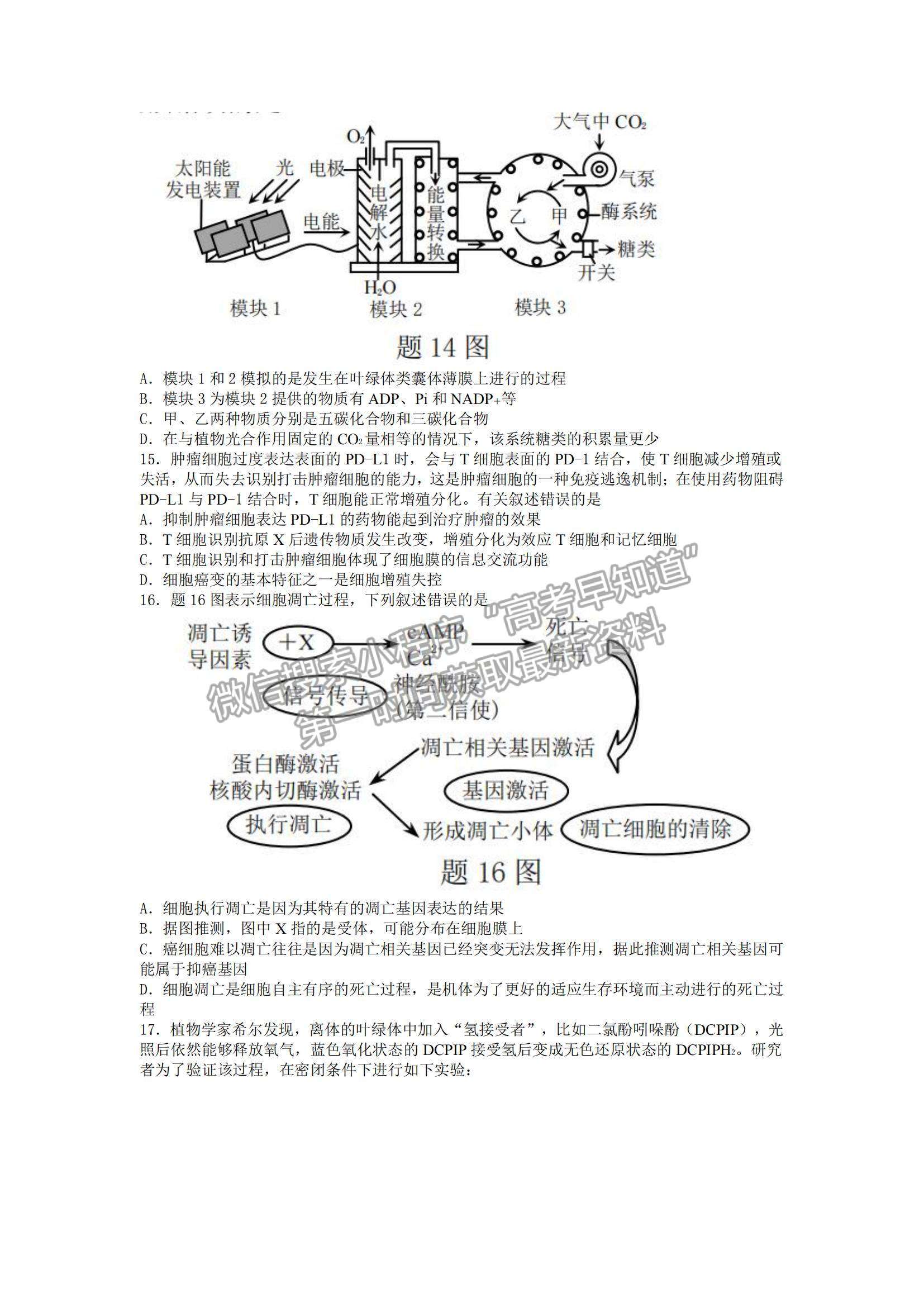 2022重慶市普通高中學(xué)業(yè)水平選擇性考試11月調(diào)研測(cè)試卷生物試題及參考答案