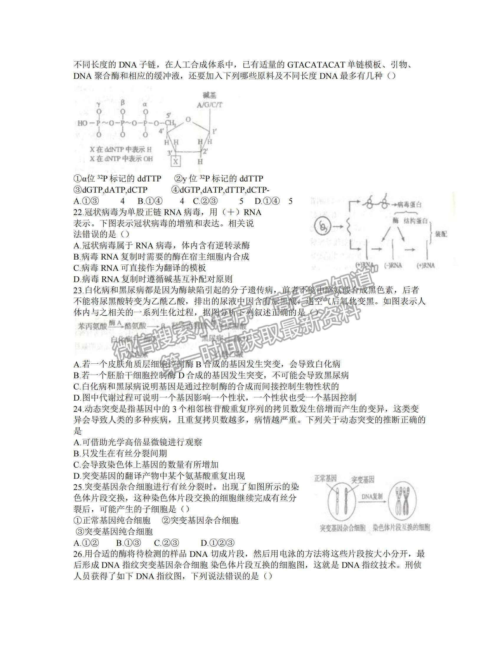 2022安徽六安一中高三第四次月考生物試題及參考答案