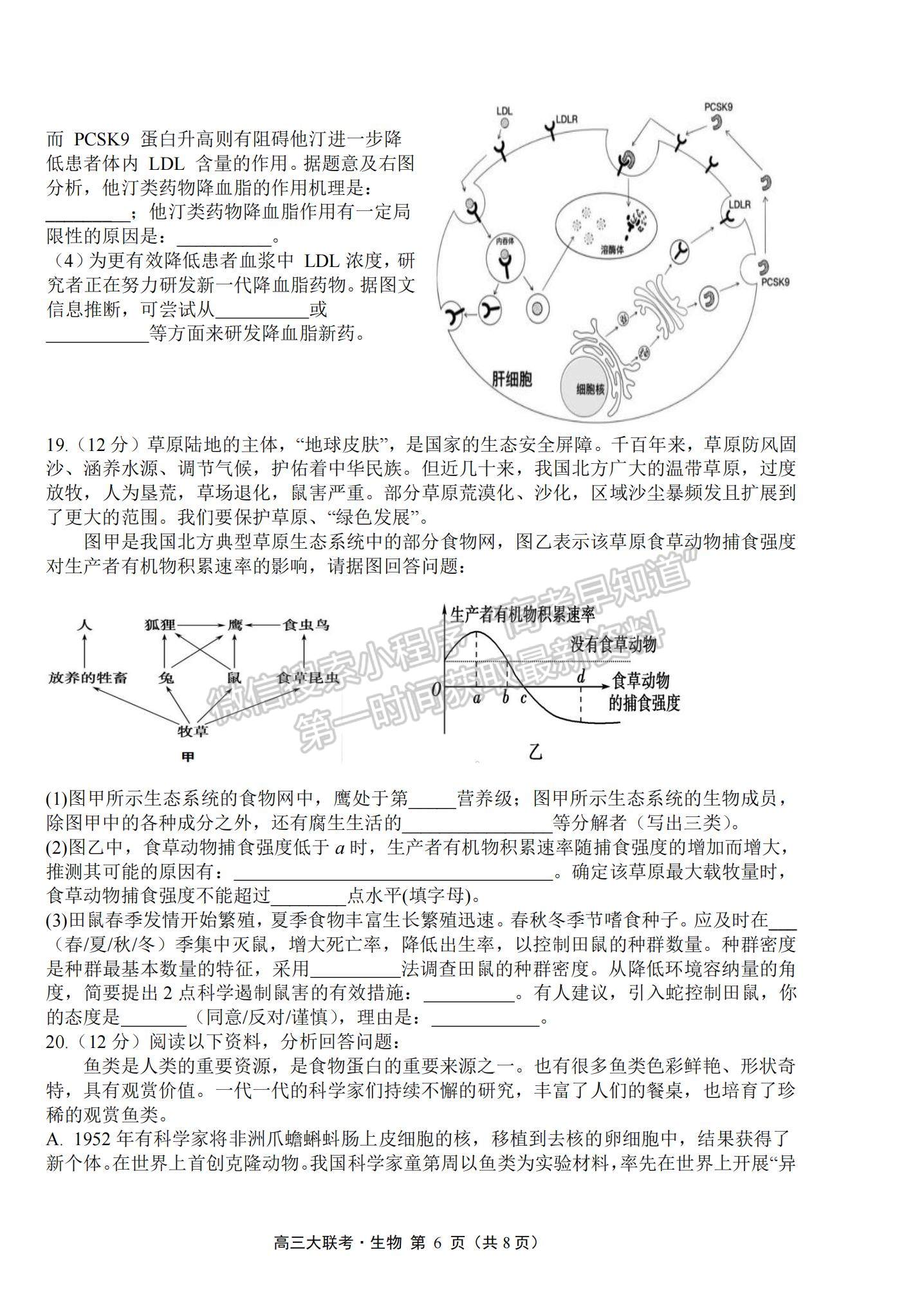 2022廣東省普通高中高三聯(lián)合質(zhì)量測評生物試題及參考答案