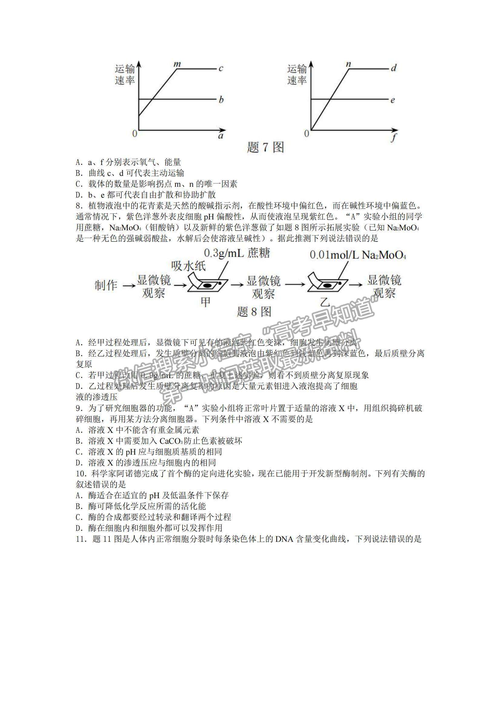 2022重慶市普通高中學業(yè)水平選擇性考試11月調研測試卷生物試題及參考答案