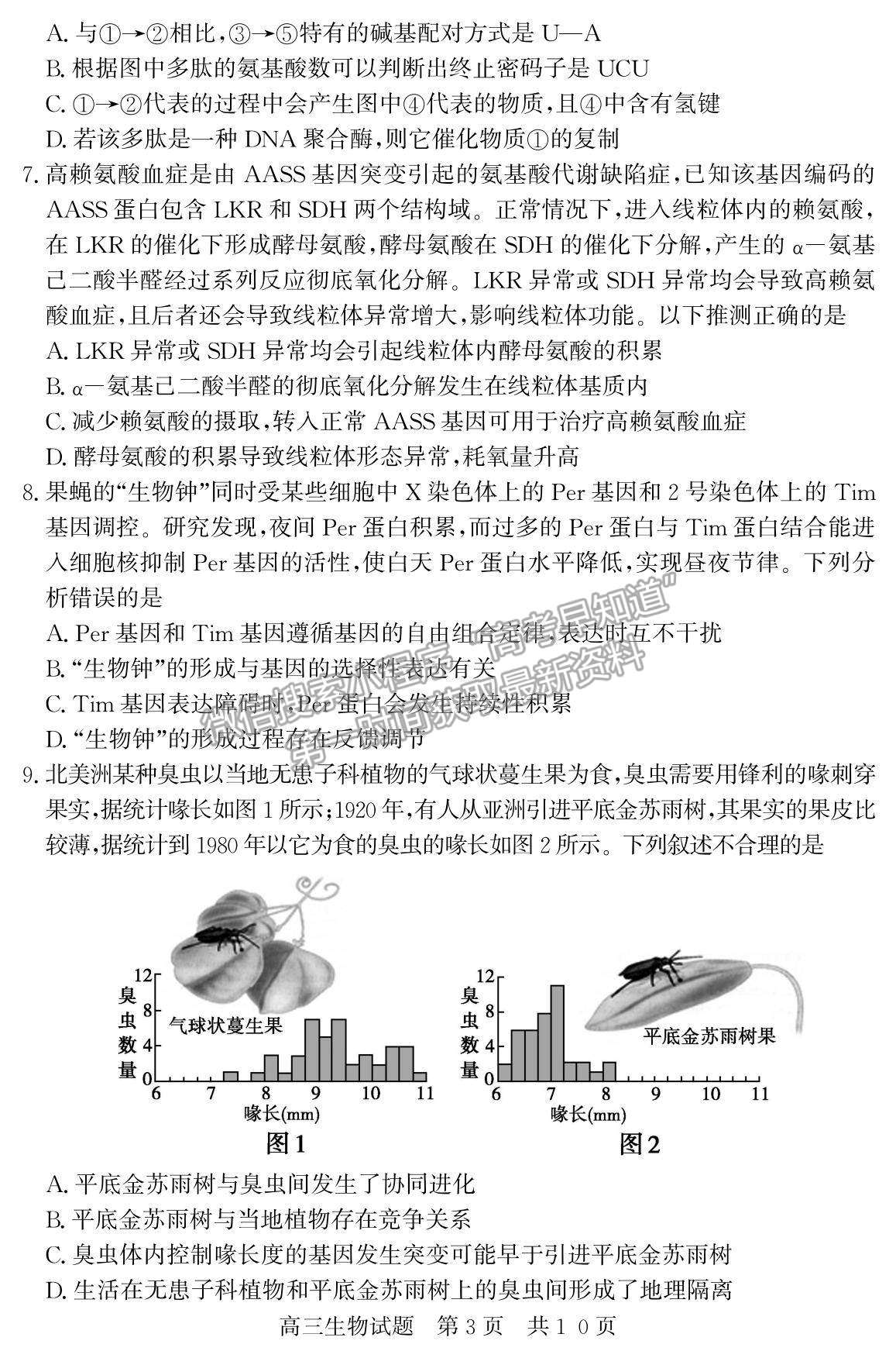 2022山東省濟(jì)南市章丘四中高三12月月考生物試題及參考答案