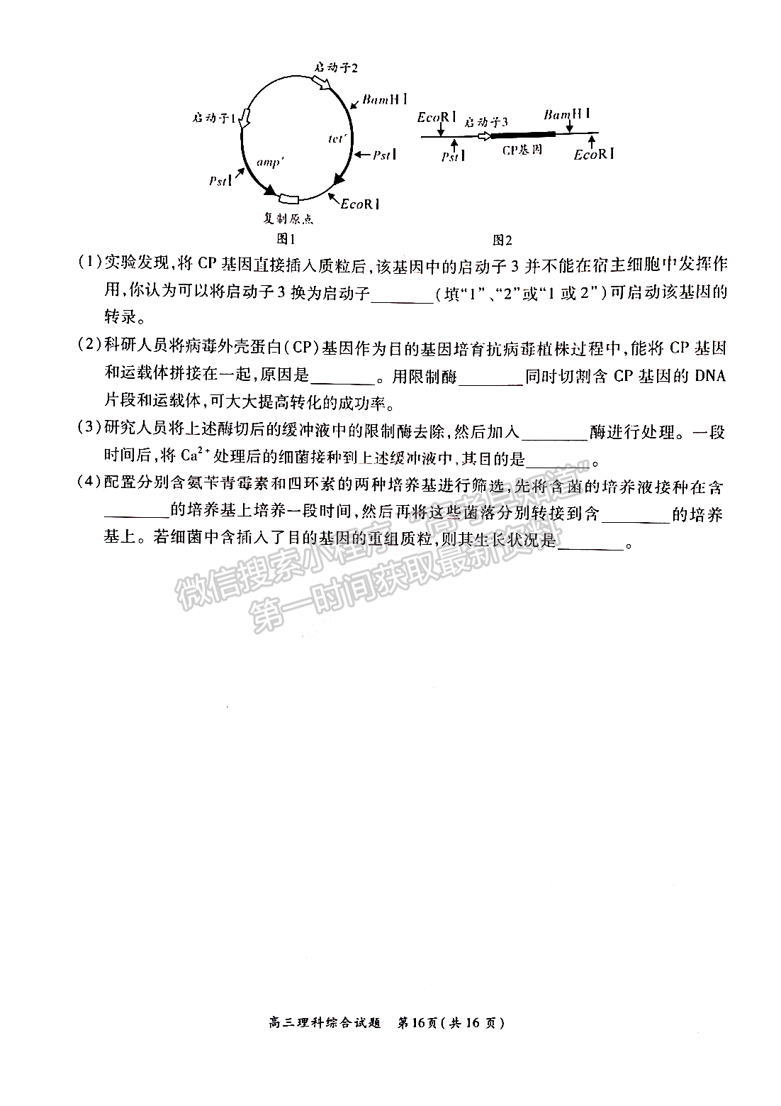 2022中原名校聯(lián)盟一輪質(zhì)檢理綜試題及參考答案