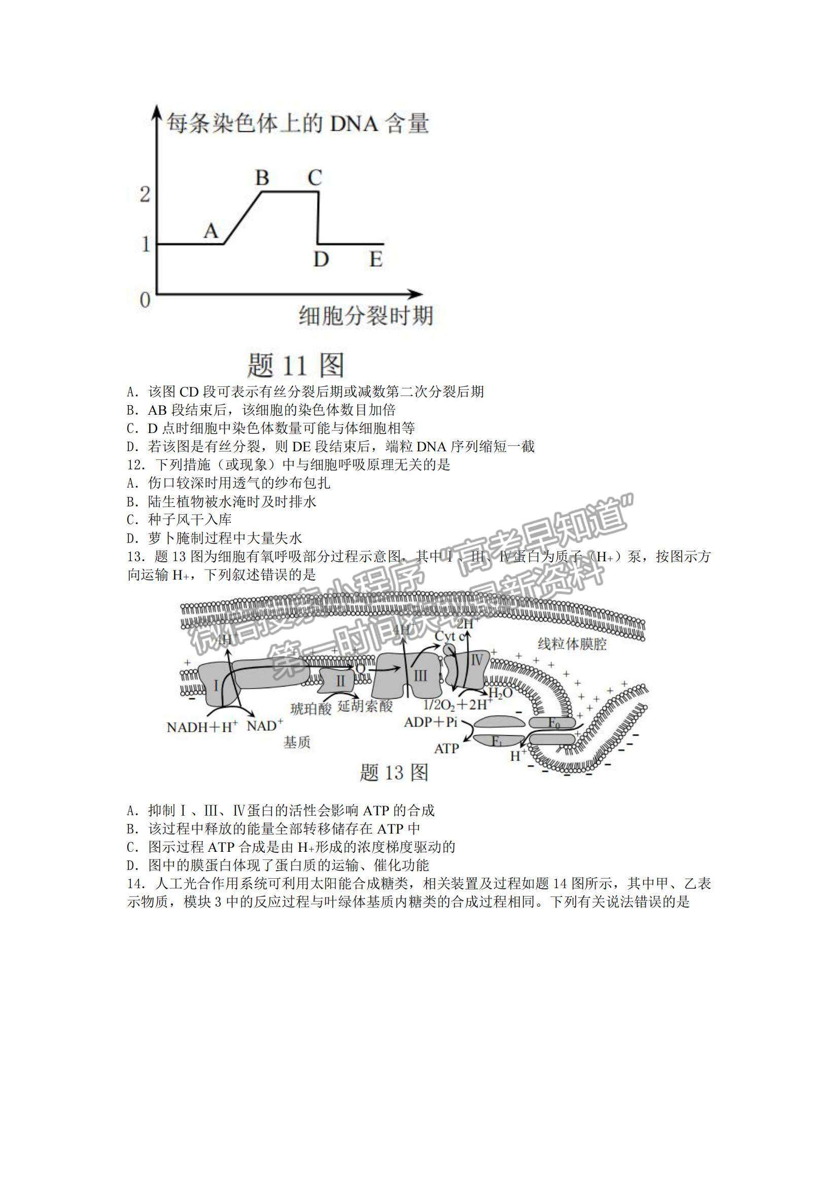 2022重慶市普通高中學(xué)業(yè)水平選擇性考試11月調(diào)研測(cè)試卷生物試題及參考答案