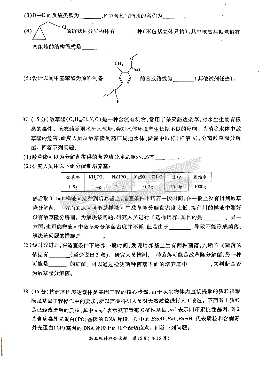 2022中原名校聯(lián)盟一輪質(zhì)檢理綜試題及參考答案