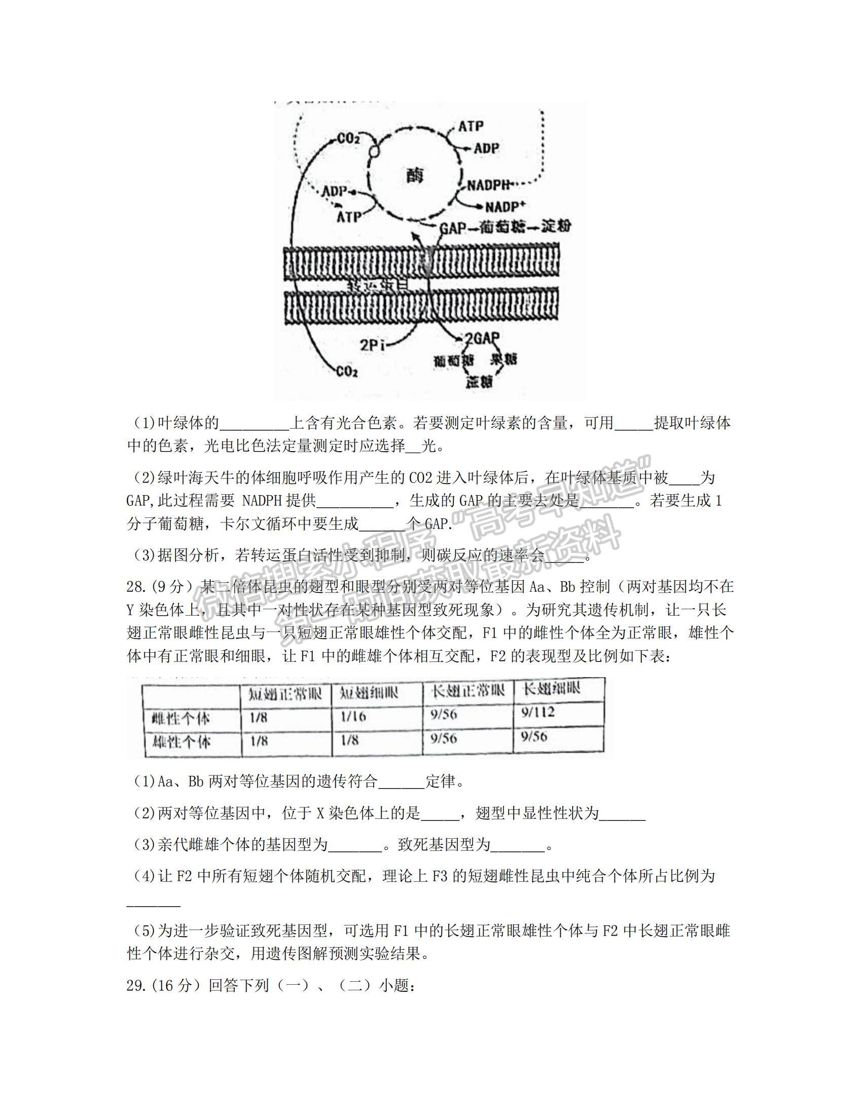 2022浙江稽陽聯(lián)誼學(xué)校高三11月聯(lián)考生物試題及參考答案