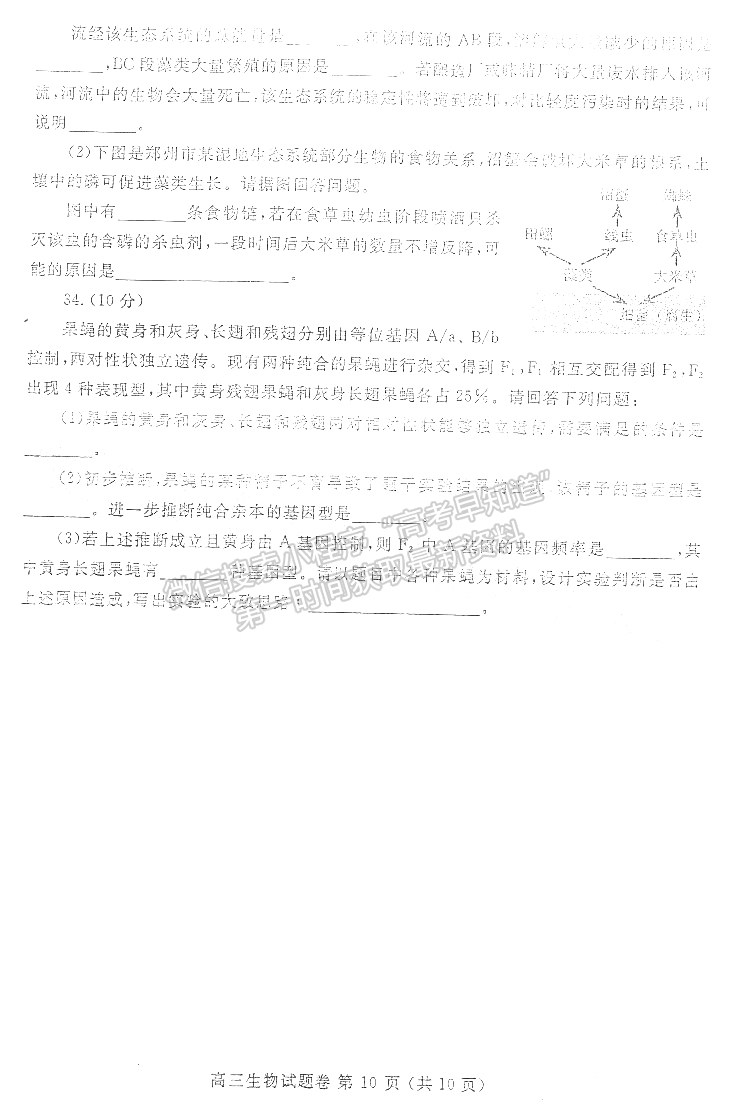 2022鄭州一測理綜試題及參考答案