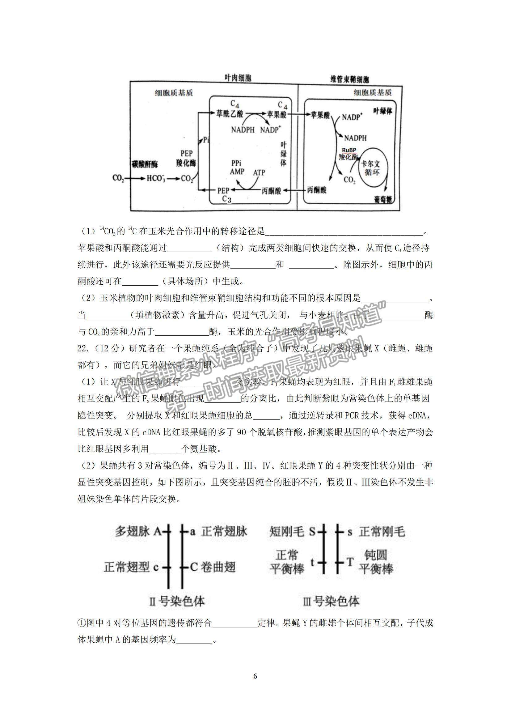 2022遼寧沈陽(yáng)二中高三第二次階段測(cè)試生物試題及參考答案