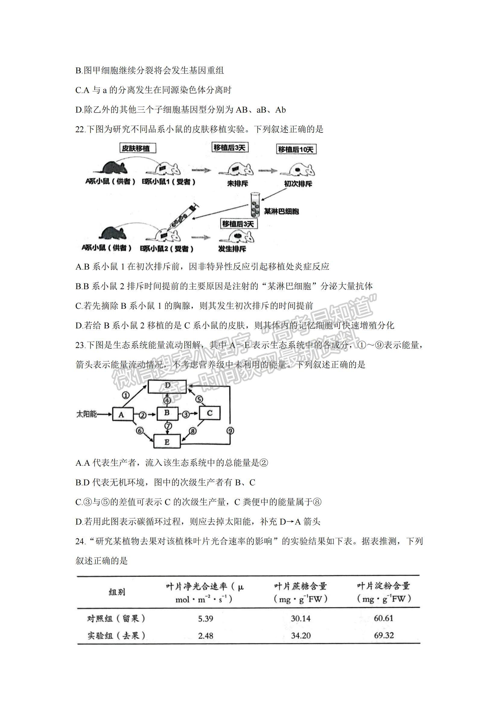 2022浙江省湖州、衢州、麗水三地市高三上學(xué)期11月教學(xué)質(zhì)量檢測生物試題及參考答案