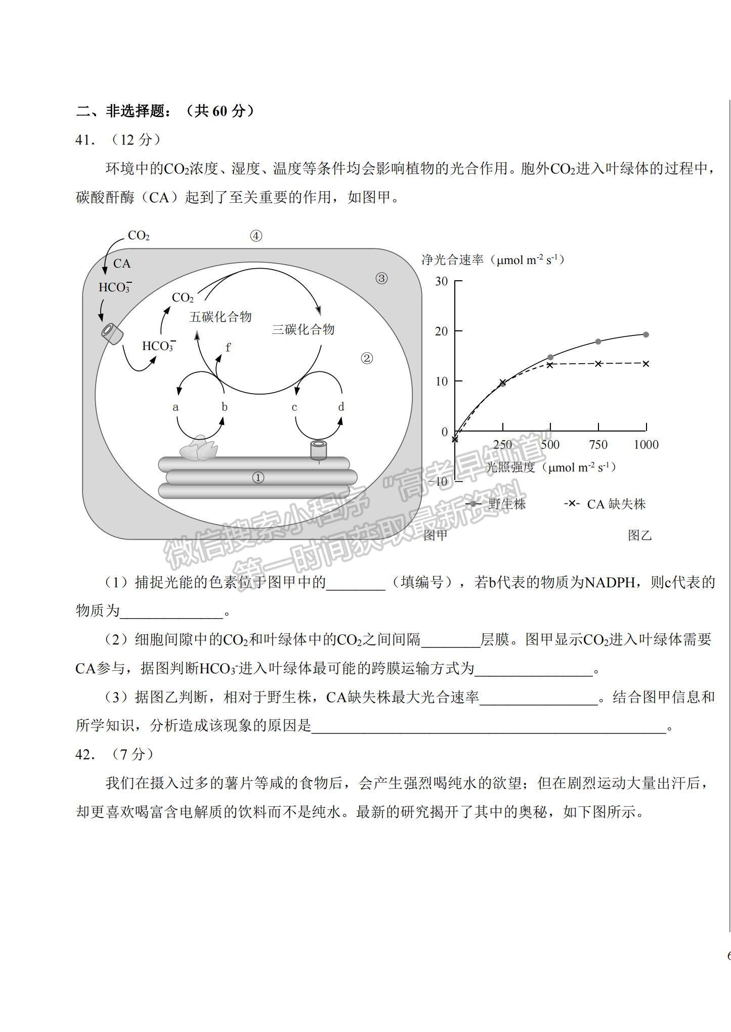 2022吉林省長春市東北師大附中高三第三次摸底考試生物試題及參考答案