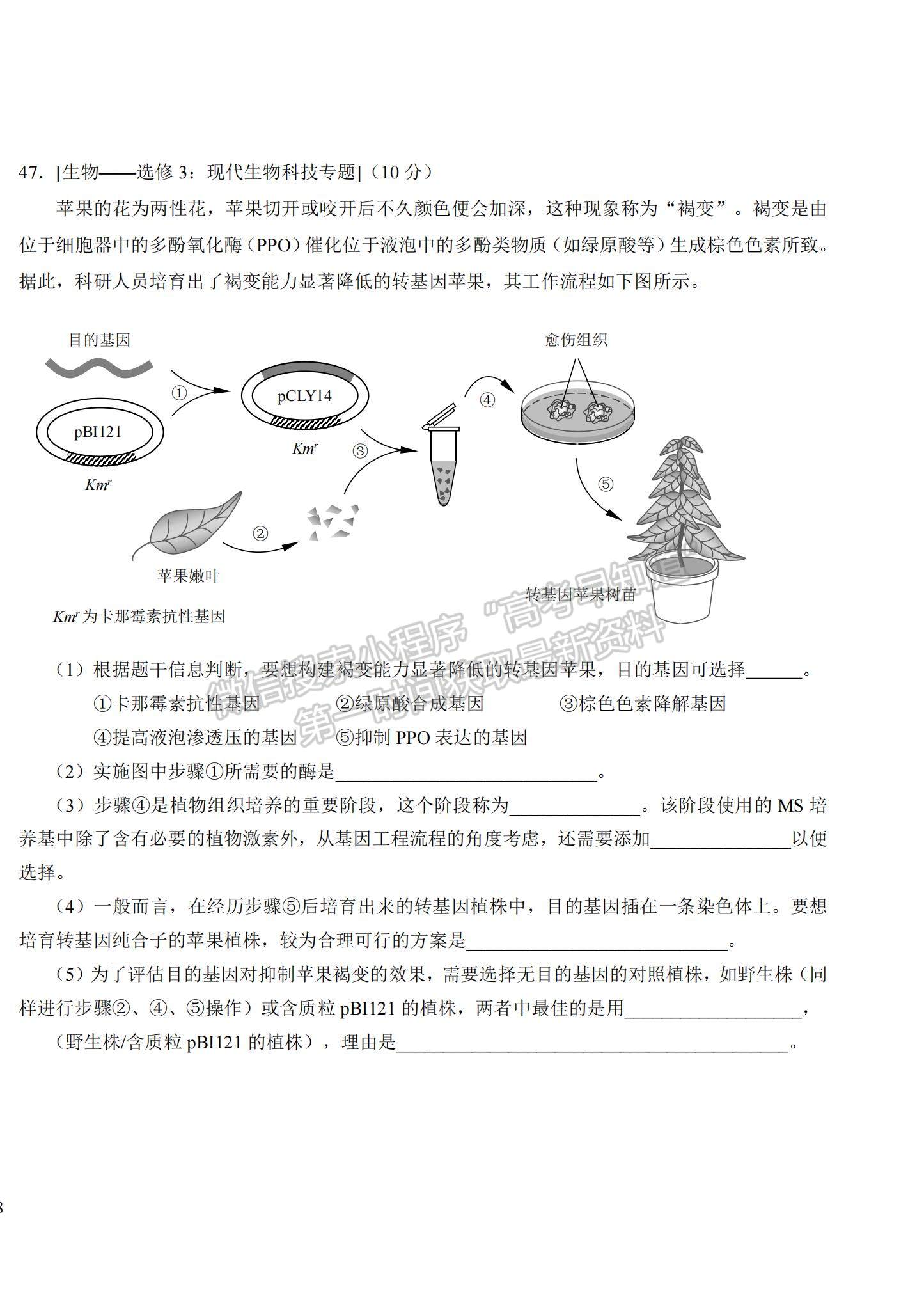 2022吉林省長春市東北師大附中高三第三次摸底考試生物試題及參考答案