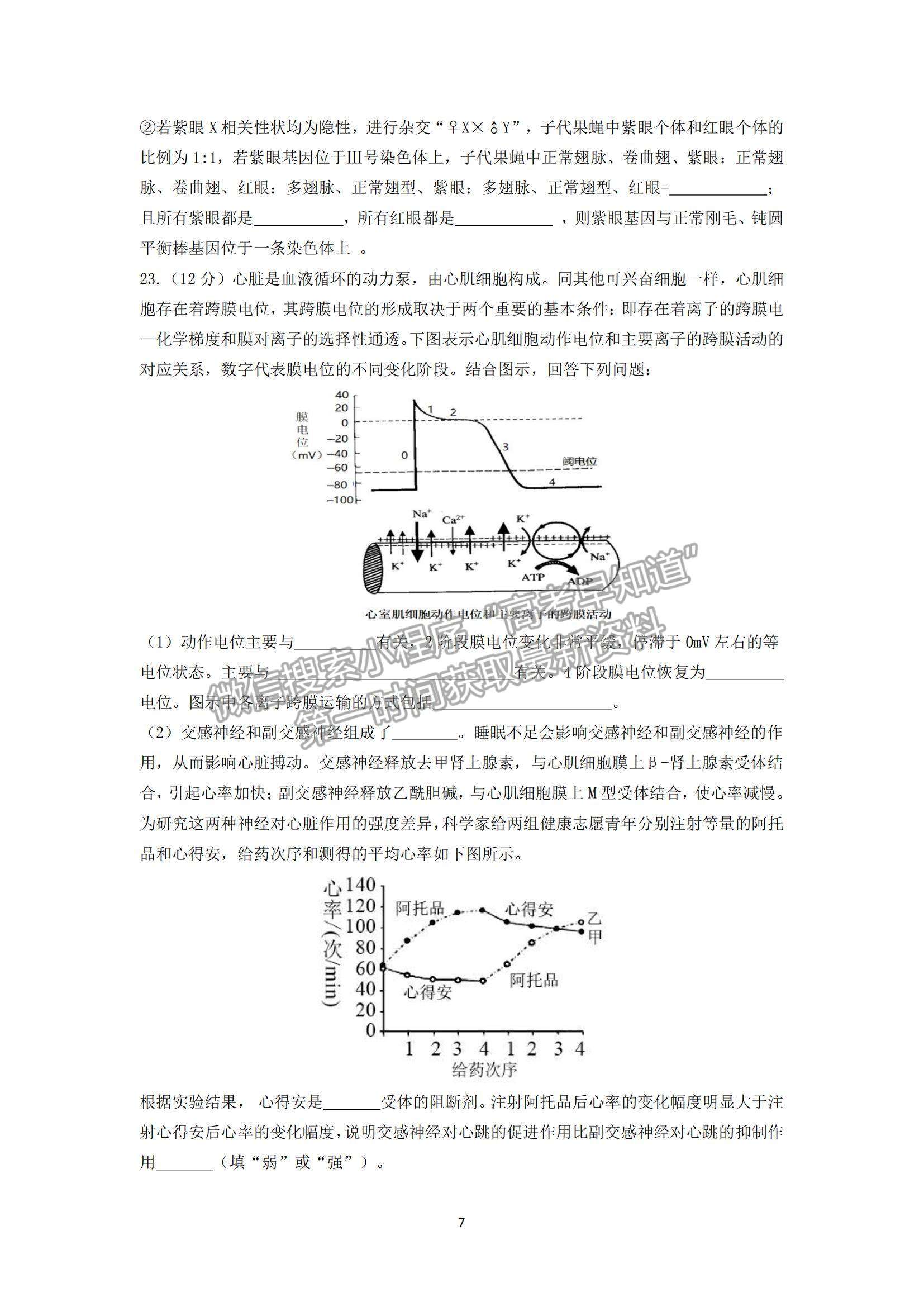 2022遼寧沈陽二中高三第二次階段測試生物試題及參考答案