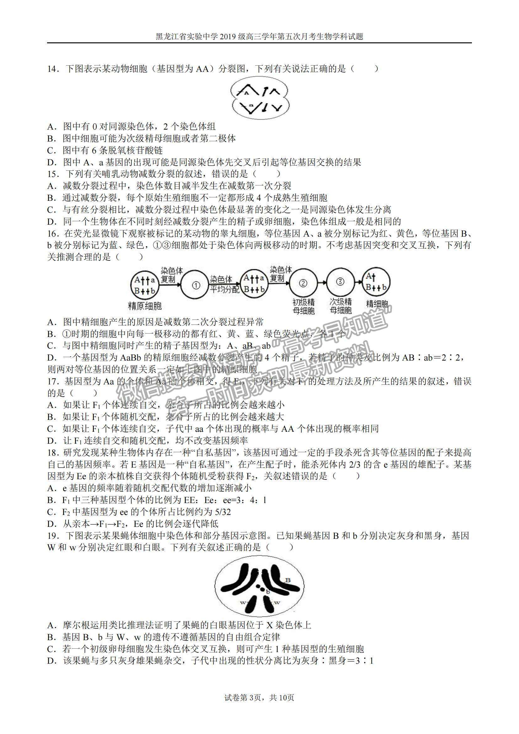 2022黑龍江省實驗中學高三第五次月考生物試題及參考答案