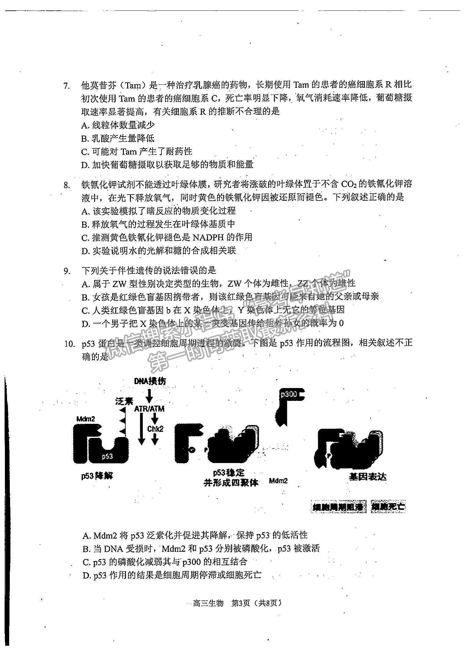 2022天津南開區(qū)高三上學期期中考試生物試題及參考答案