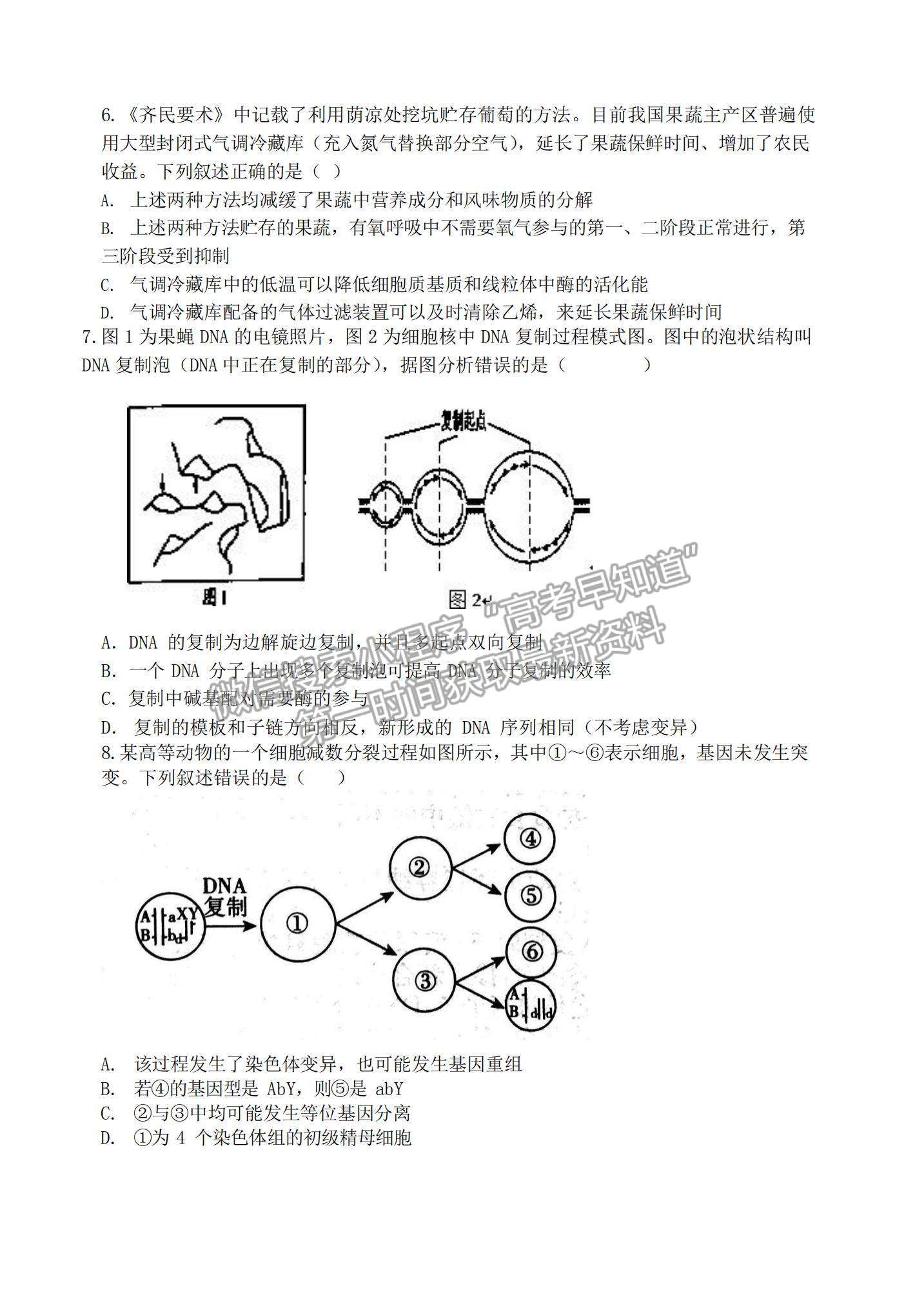 2022遼寧大連八中高三上學期期中考試生物試題及參考答案