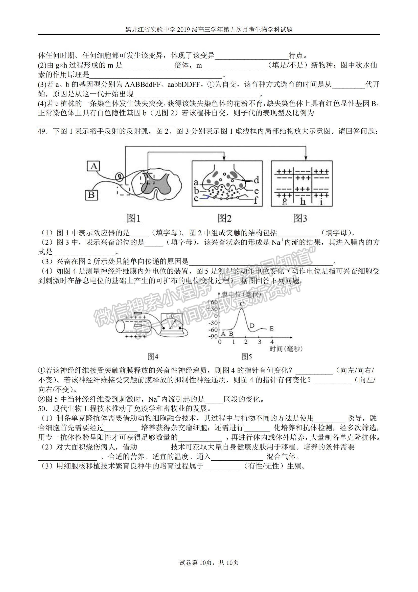 2022黑龍江省實驗中學高三第五次月考生物試題及參考答案