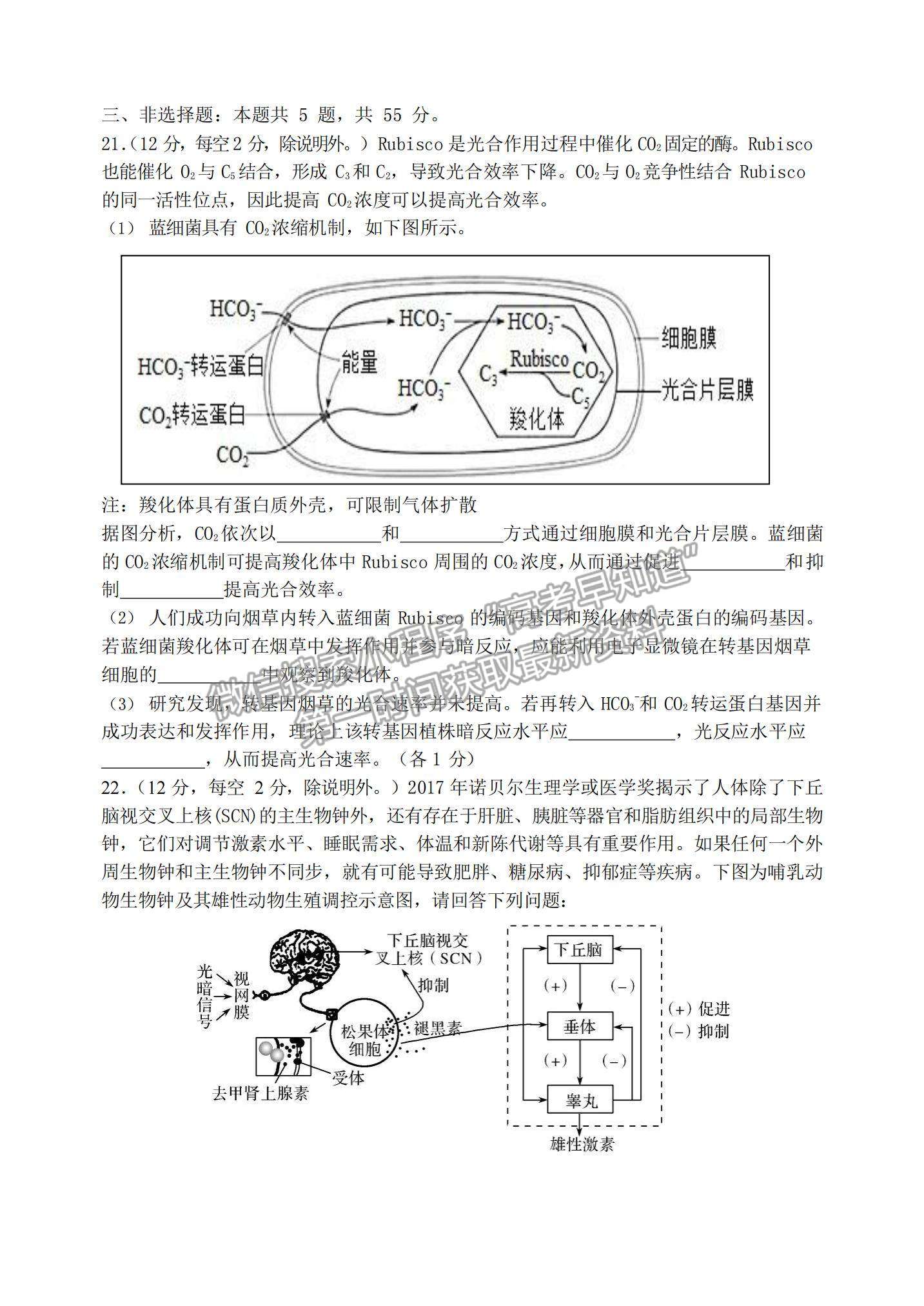 2022遼寧大連八中高三上學(xué)期期中考試生物試題及參考答案