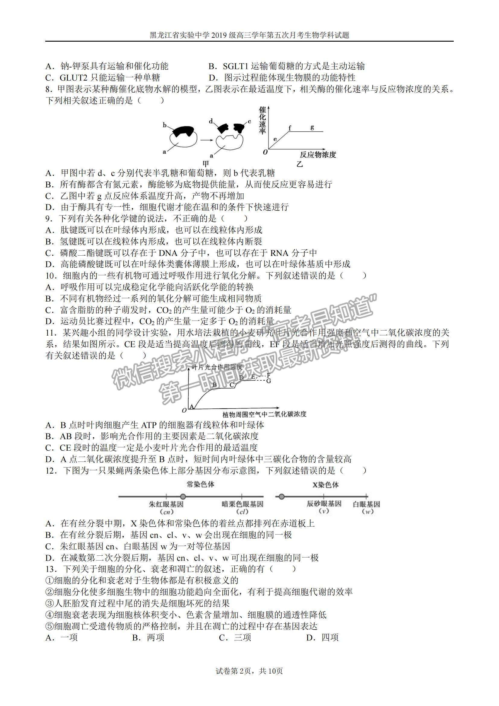 2022黑龍江省實驗中學高三第五次月考生物試題及參考答案