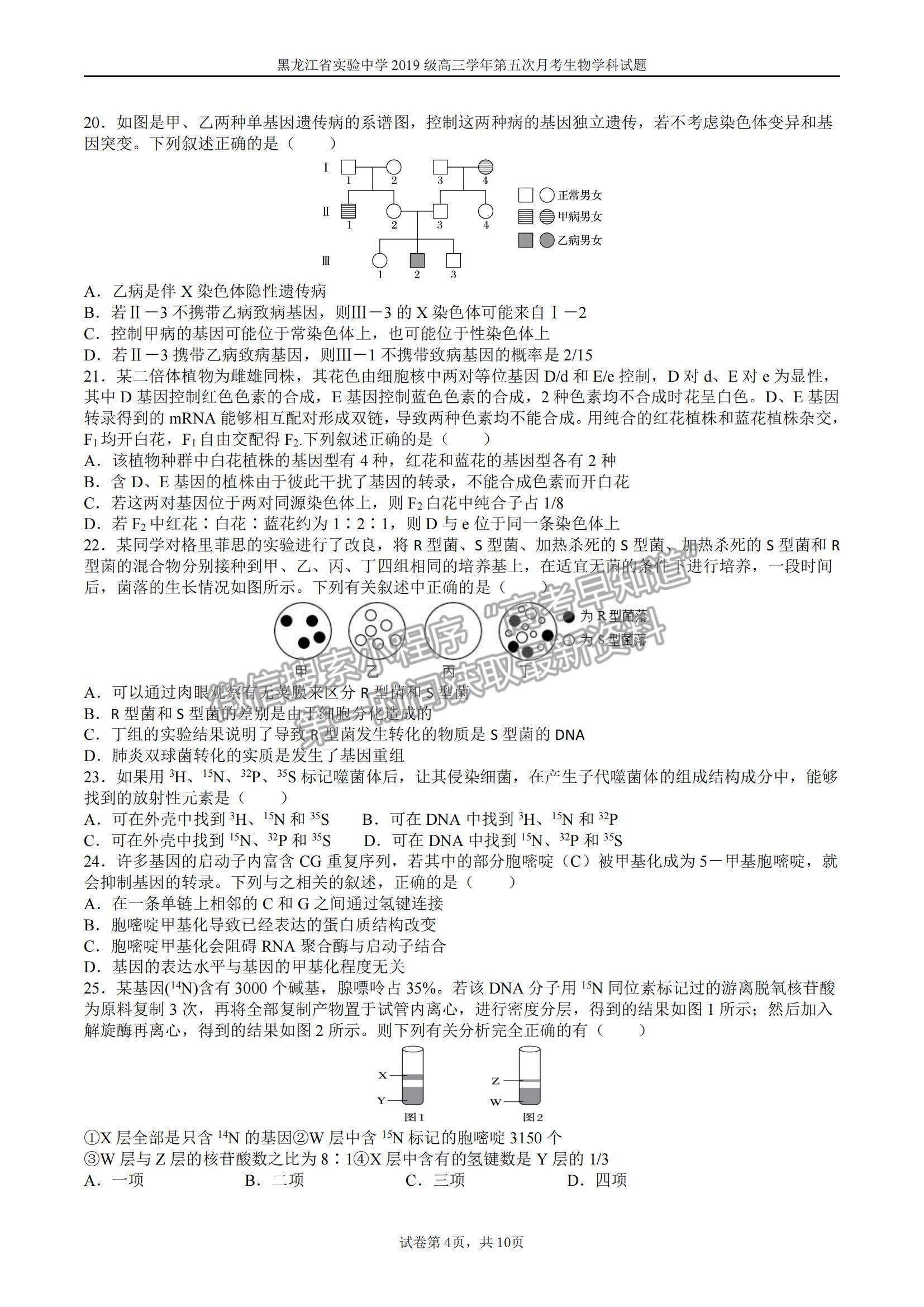 2022黑龍江省實(shí)驗(yàn)中學(xué)高三第五次月考生物試題及參考答案