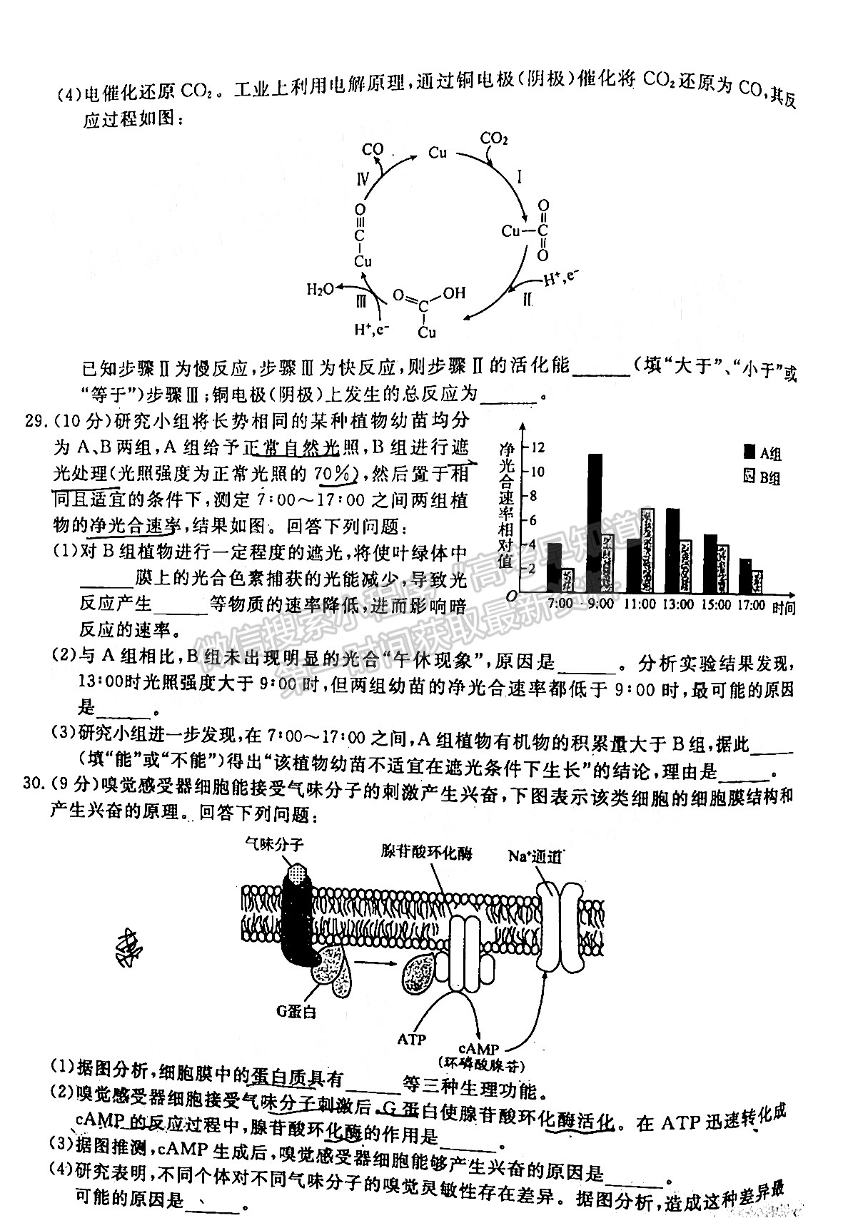 2022四川省廣安/眉山/遂寧/雅安/內(nèi)江等六市診斷性考試?yán)砜凭C合試題及答案