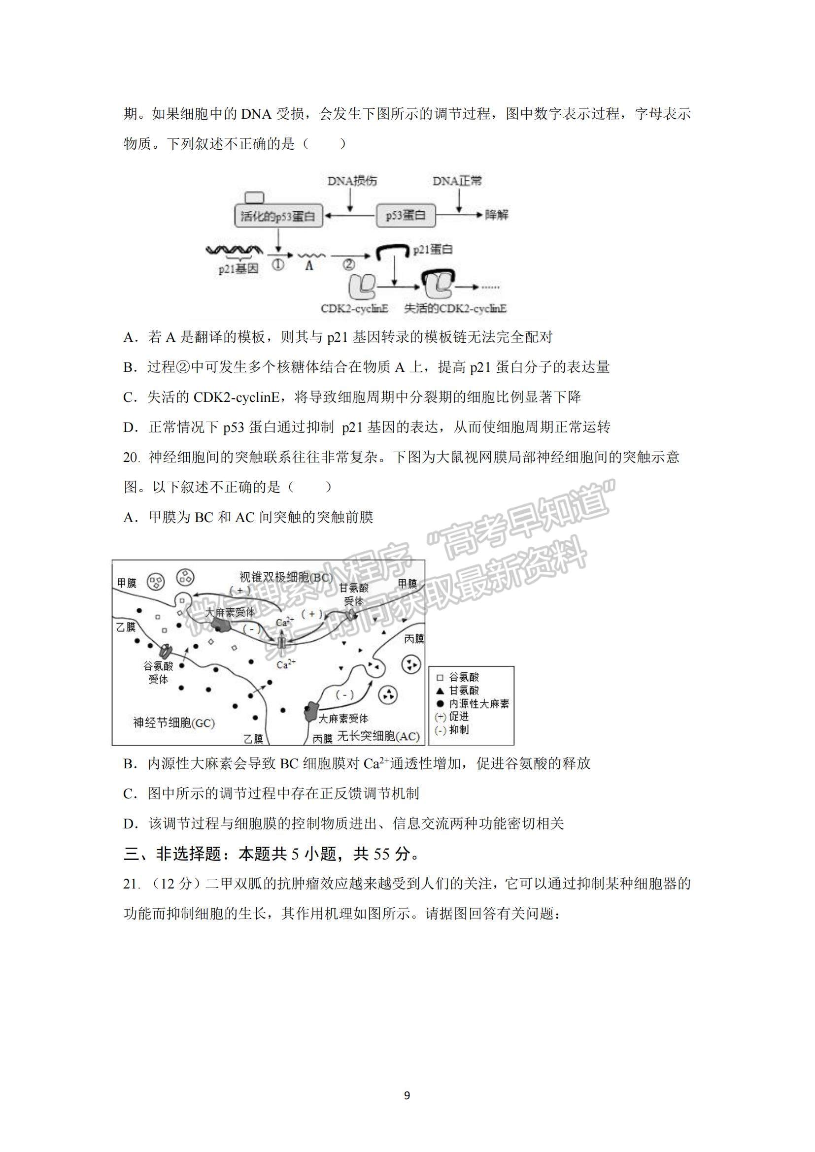 2022山東省青島五十八中高三上學期期中考試生物試題及參考答案