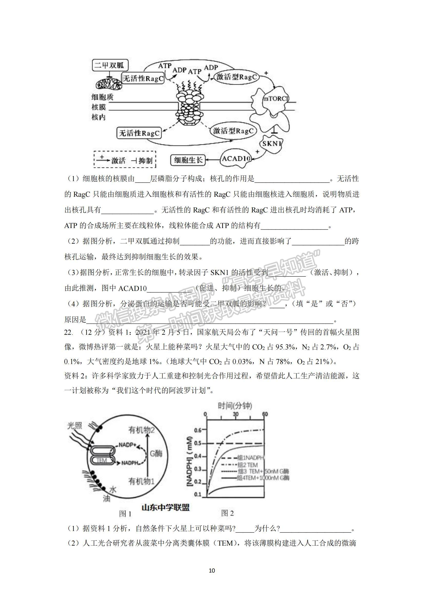 2022山東省青島五十八中高三上學(xué)期期中考試生物試題及參考答案