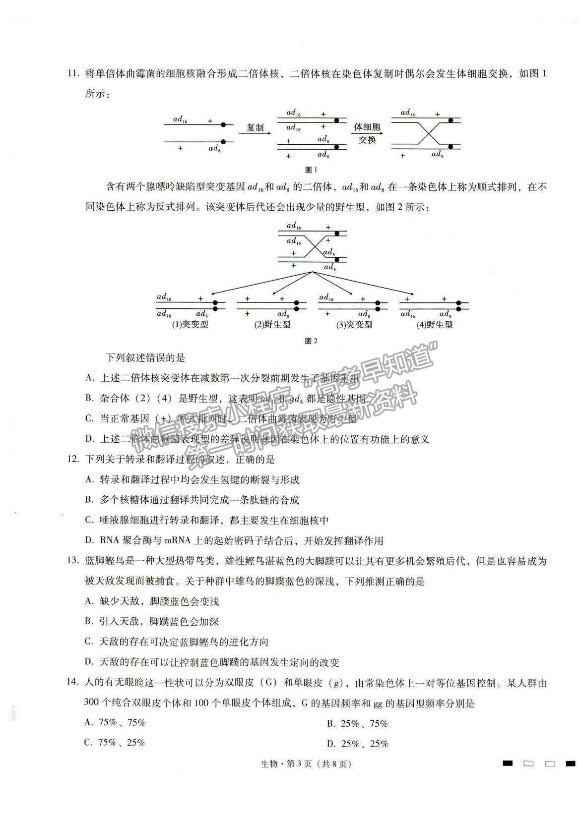 2022重慶八中高考適應性月考卷（四）生物試題及參考答案