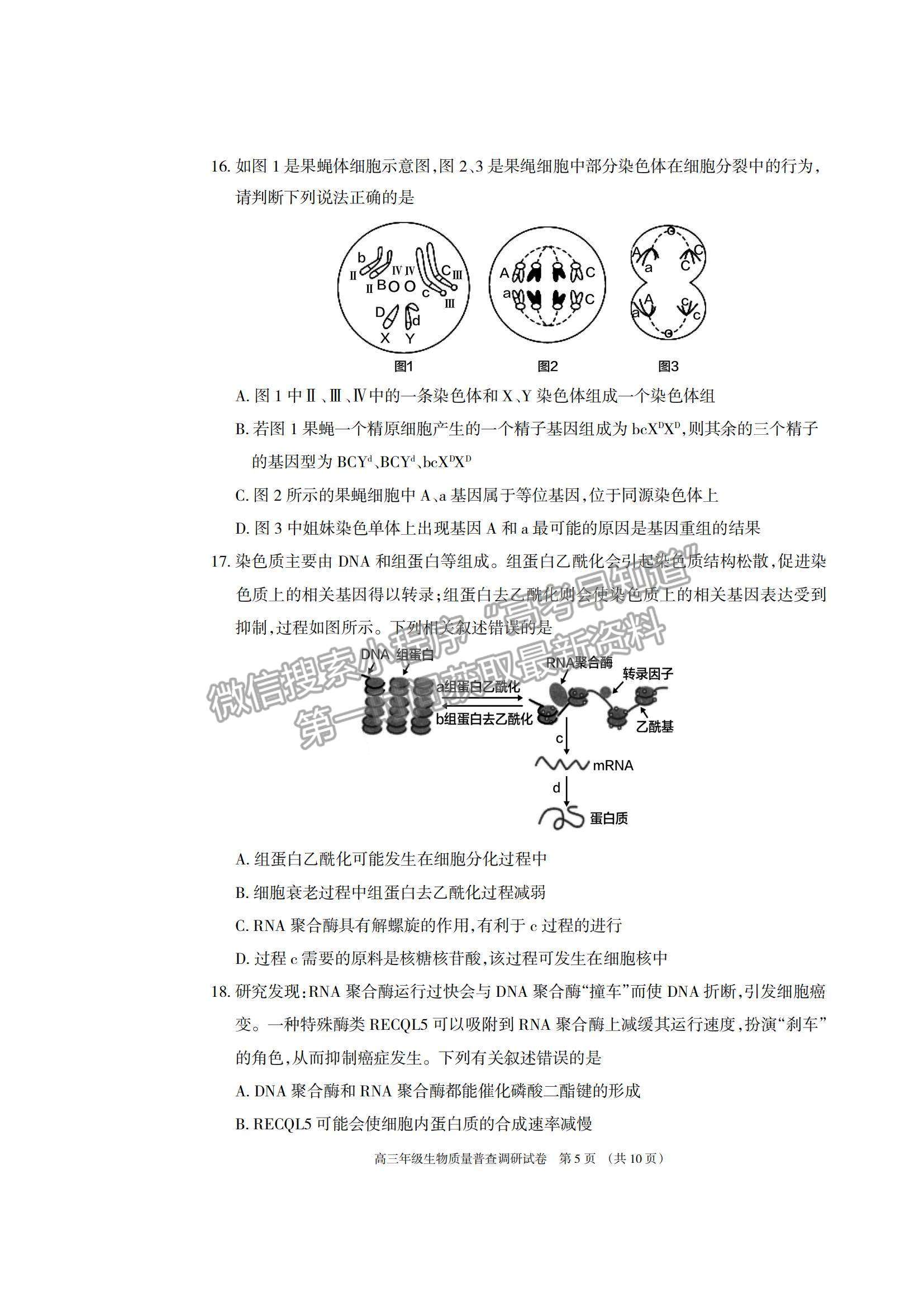 2022內(nèi)蒙古呼和浩特高三上學期質(zhì)量普查調(diào)研考試生物試題及參考答案