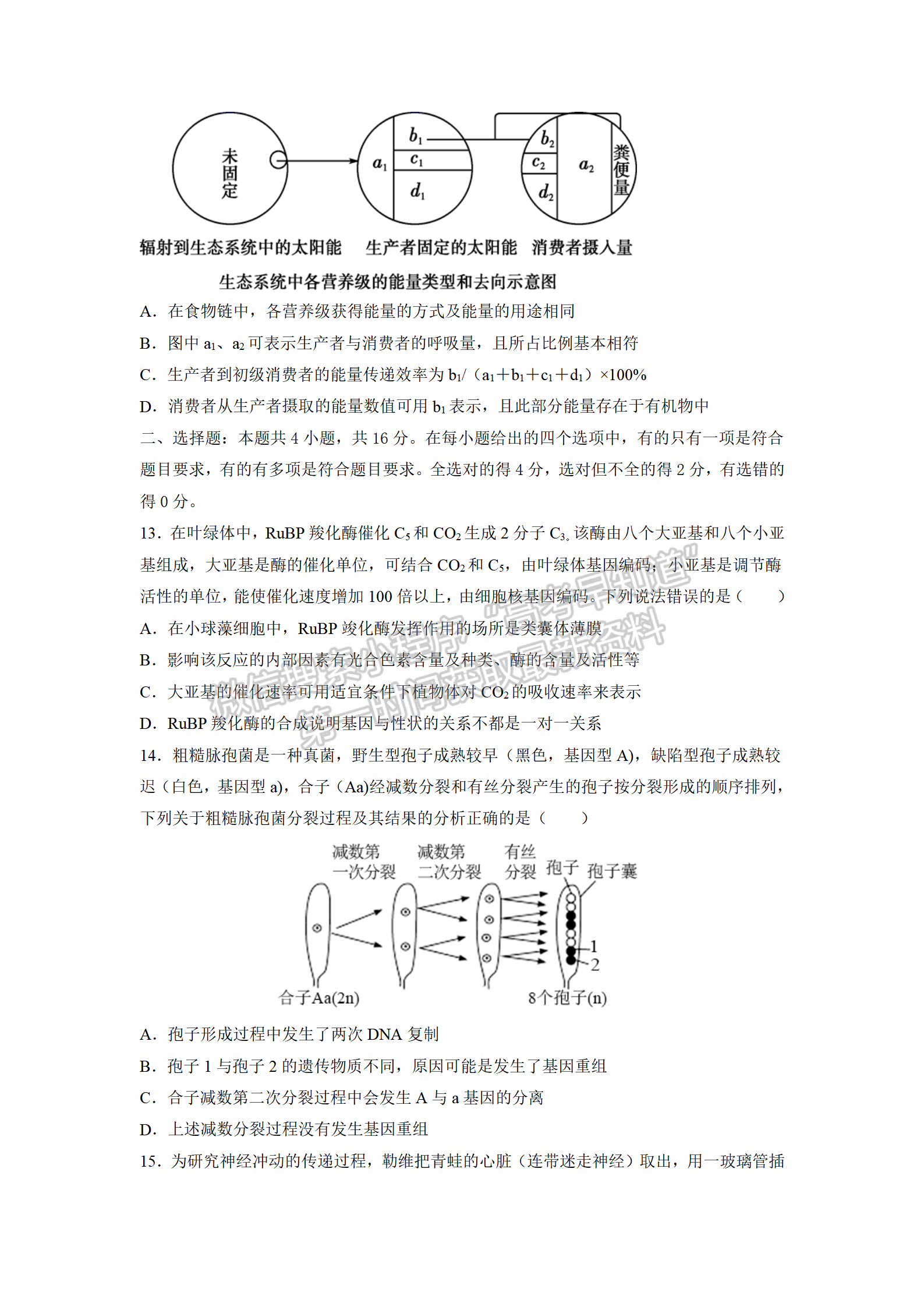 2022屆衡陽(yáng)八中高三第五次月考生物試題及答案