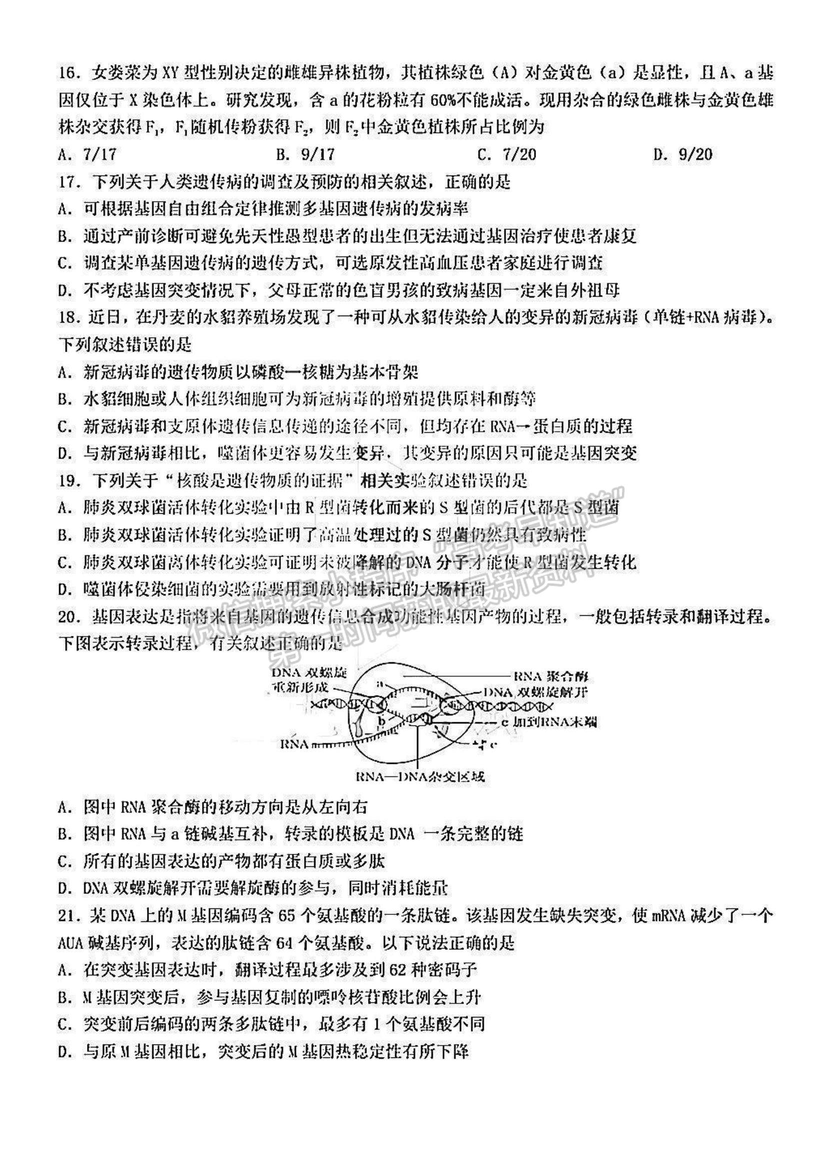 2022黑龍江省哈九中高三上學(xué)期期中考試生物試題及參考答案