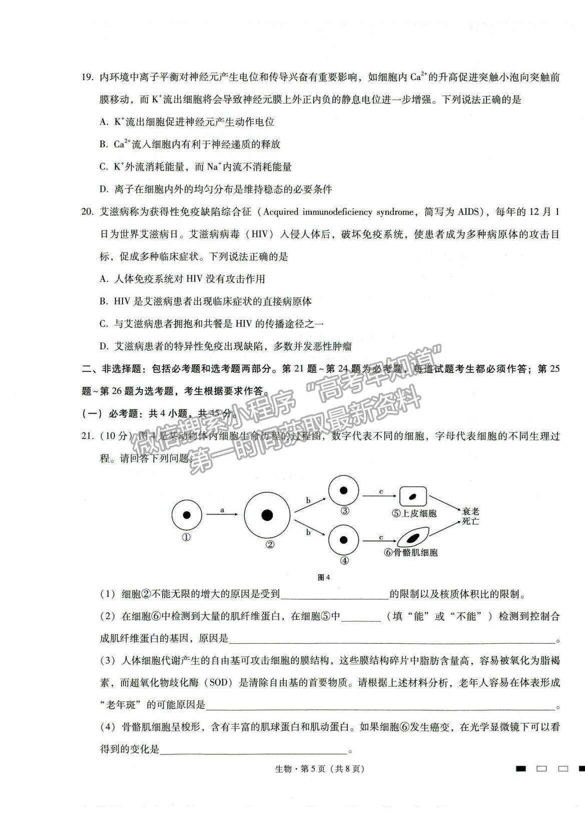 2022重慶八中高考適應(yīng)性月考卷（四）生物試題及參考答案