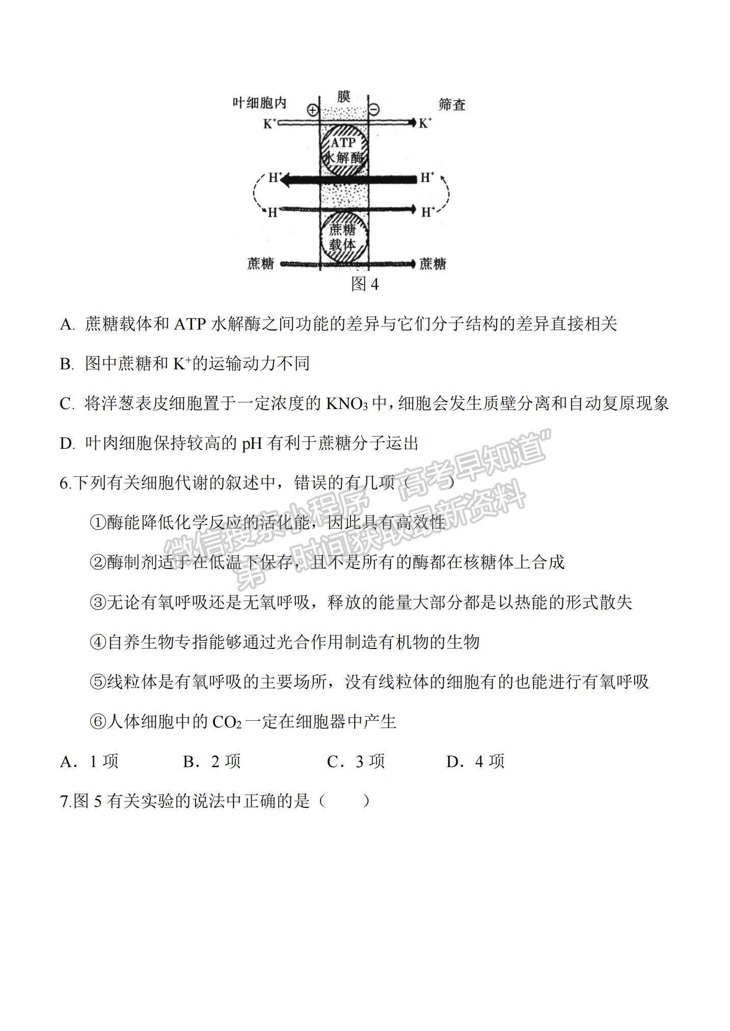 2022陜西省西安中學(xué)高三上學(xué)期期中考試生物試題及參考答案