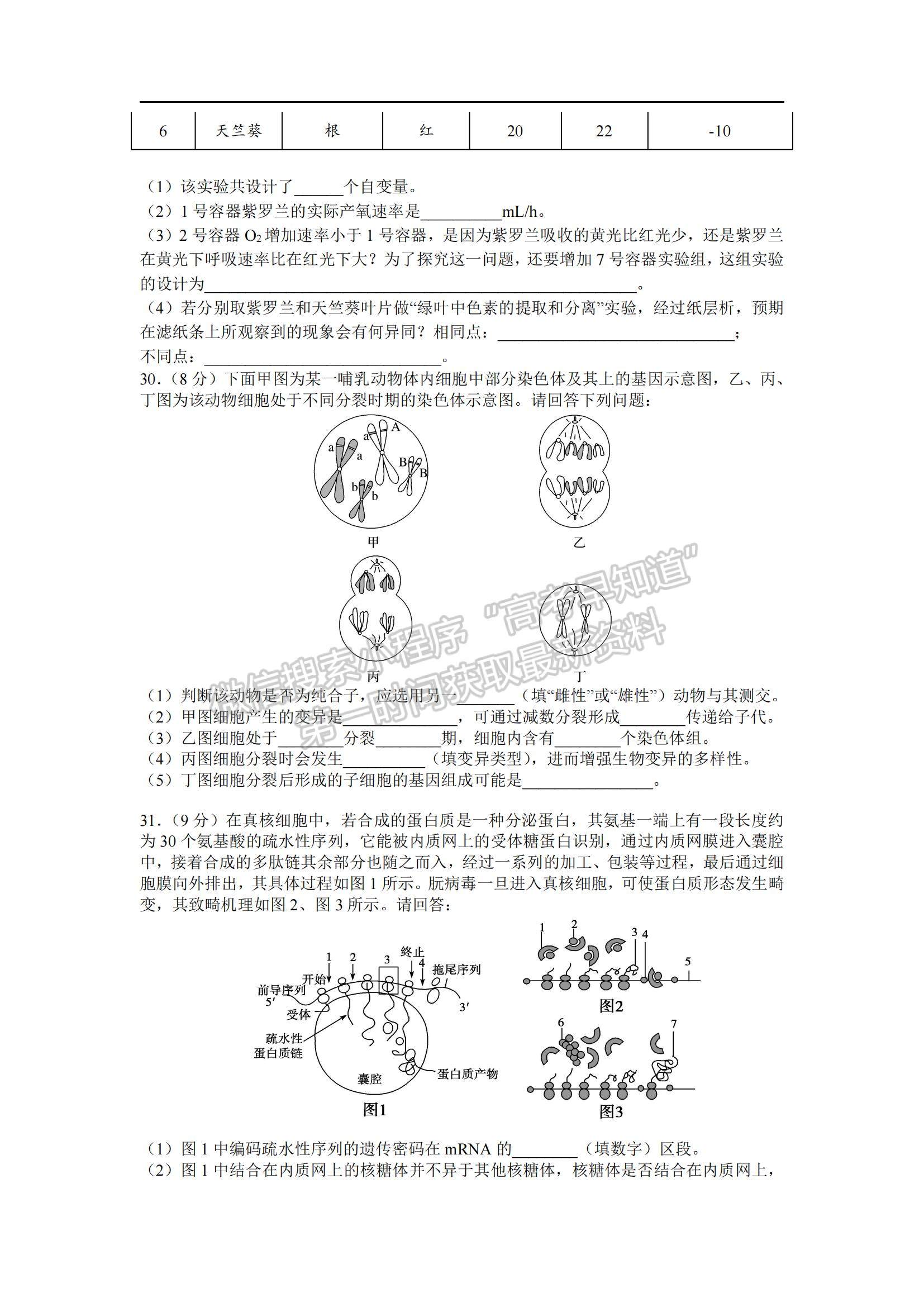 2022吉林省長春十一中高三上學期第二學程考試理綜試題及參考答案