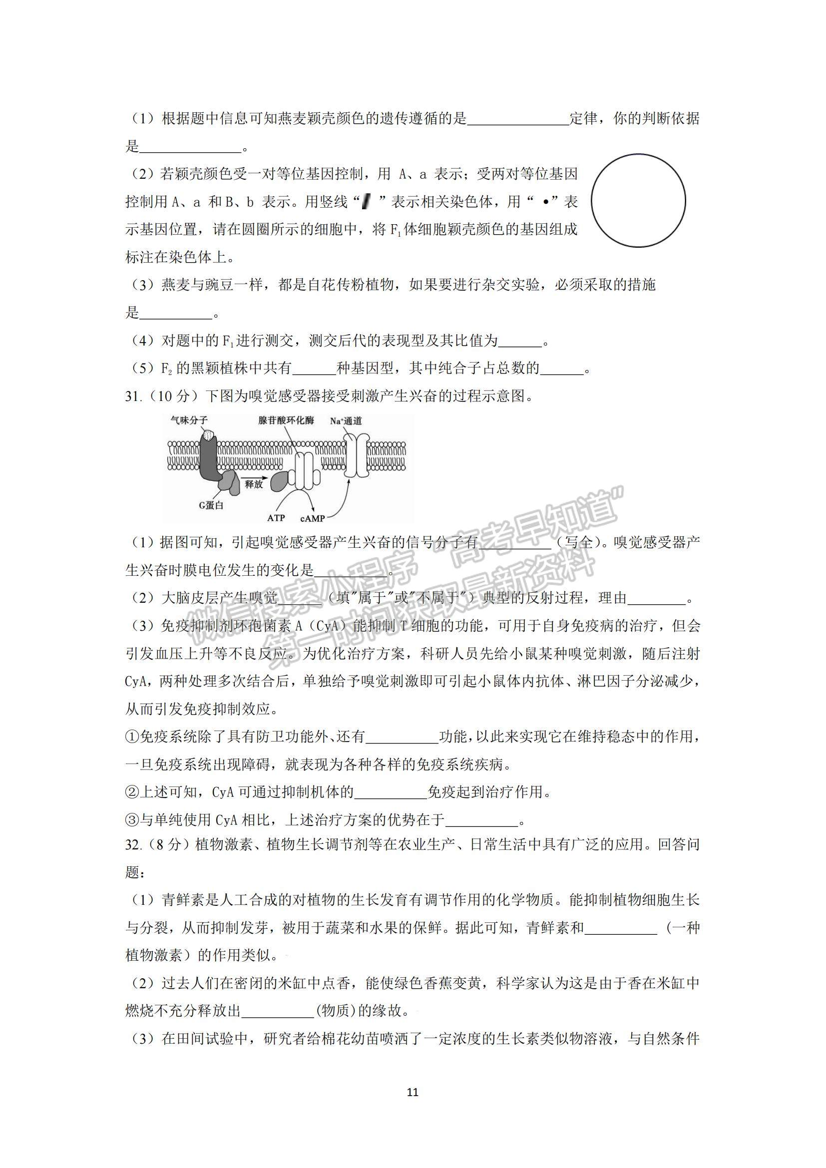 2022黑龍江省哈一中高三上學期期末考試理綜試題及參考答案