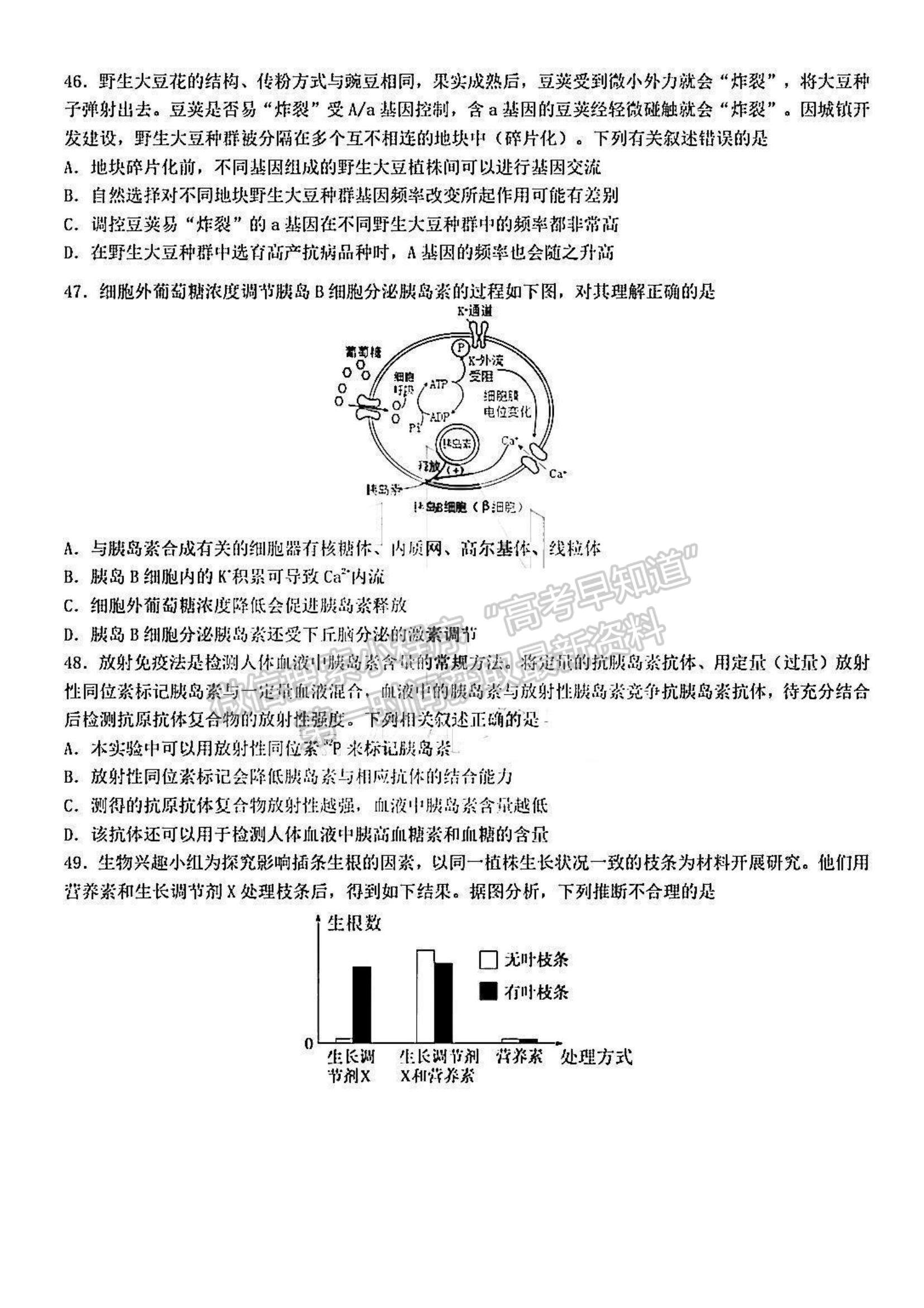 2022黑龍江省哈九中高三上學(xué)期期中考試生物試題及參考答案