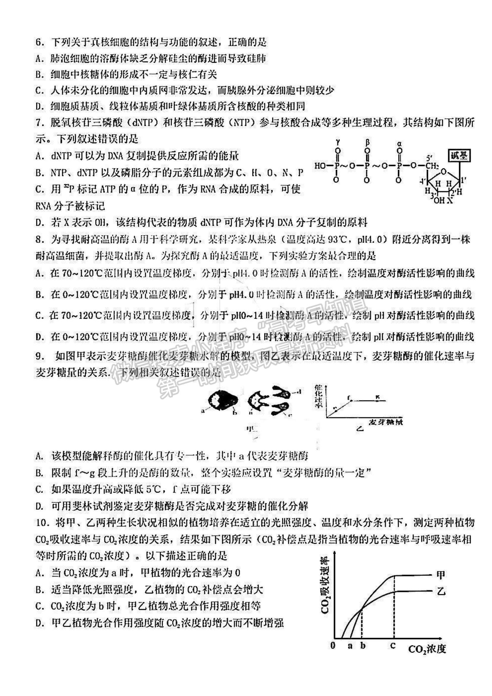 2022黑龍江省哈九中高三上學期期中考試生物試題及參考答案