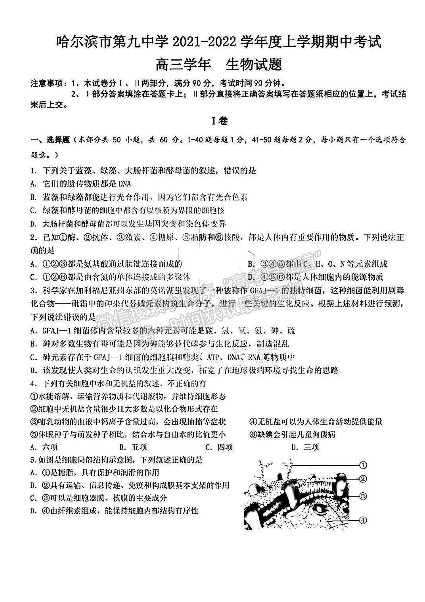 2022黑龍江省哈九中高三上學(xué)期期中考試生物試題及參考答案